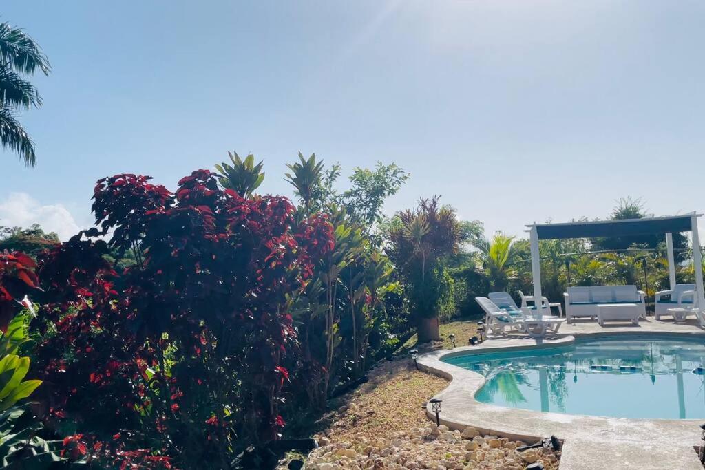 Hacienda Rose Tropical Paradise