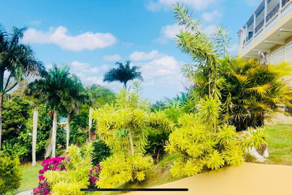 Hacienda Rose Tropical Paradise