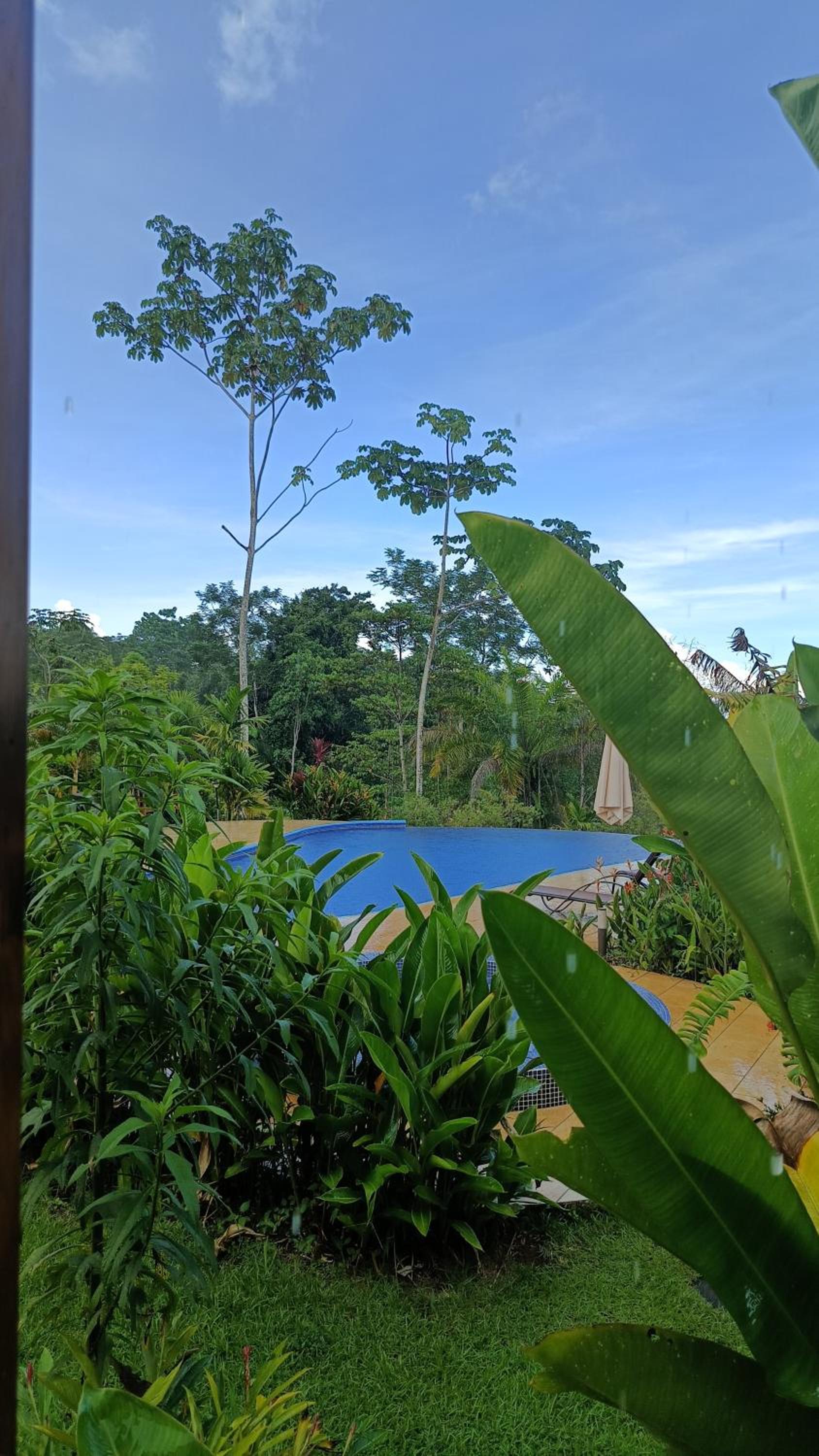 Corcovado Deluxe House-pool-jacuzzi-great views