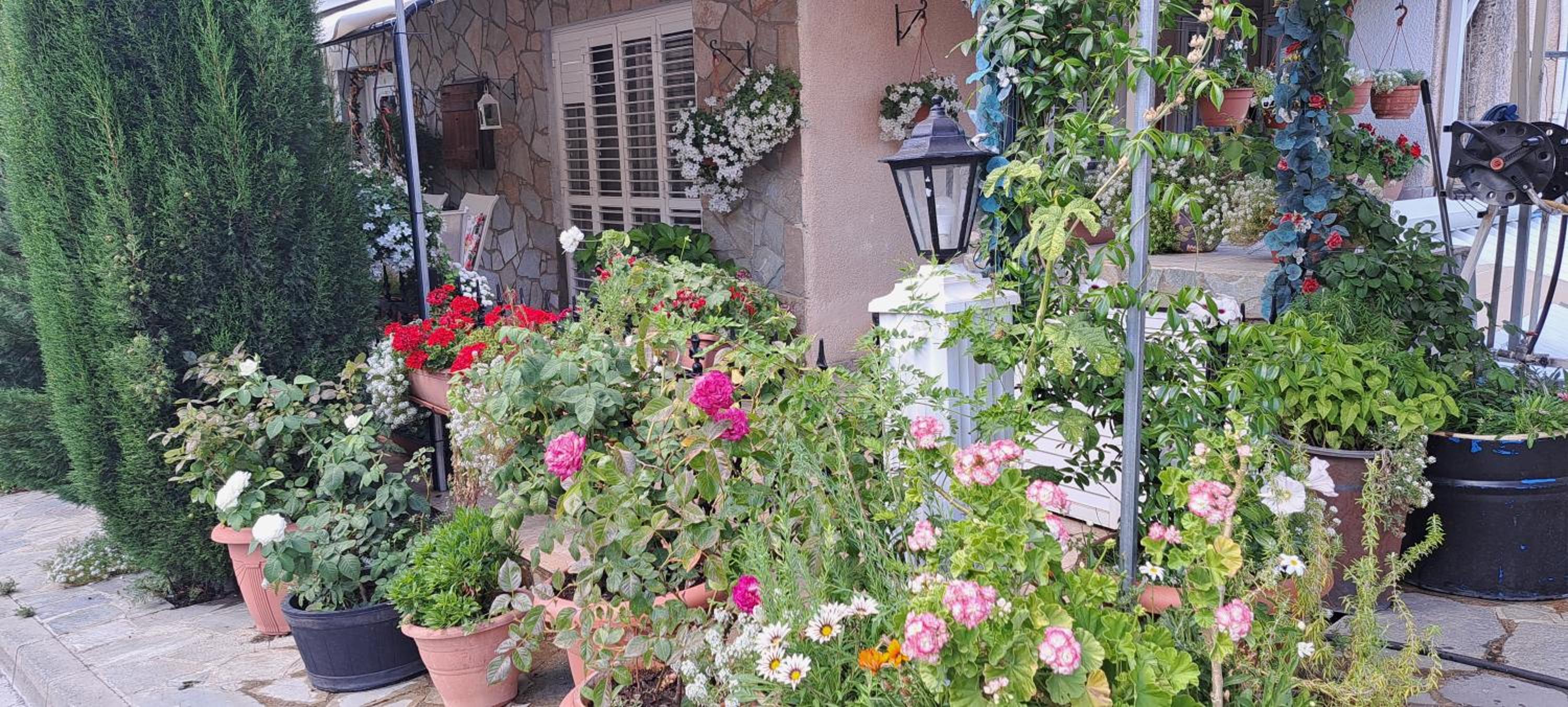 Kyperounta Troodos mountain house
