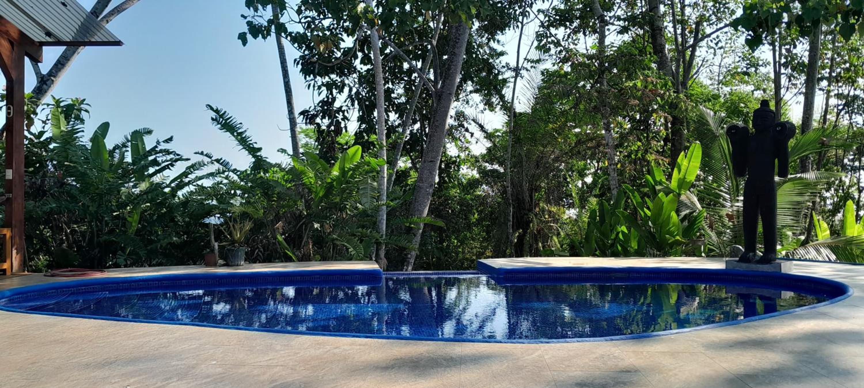 Corcovado Deluxe House-pool-jacuzzi-great views