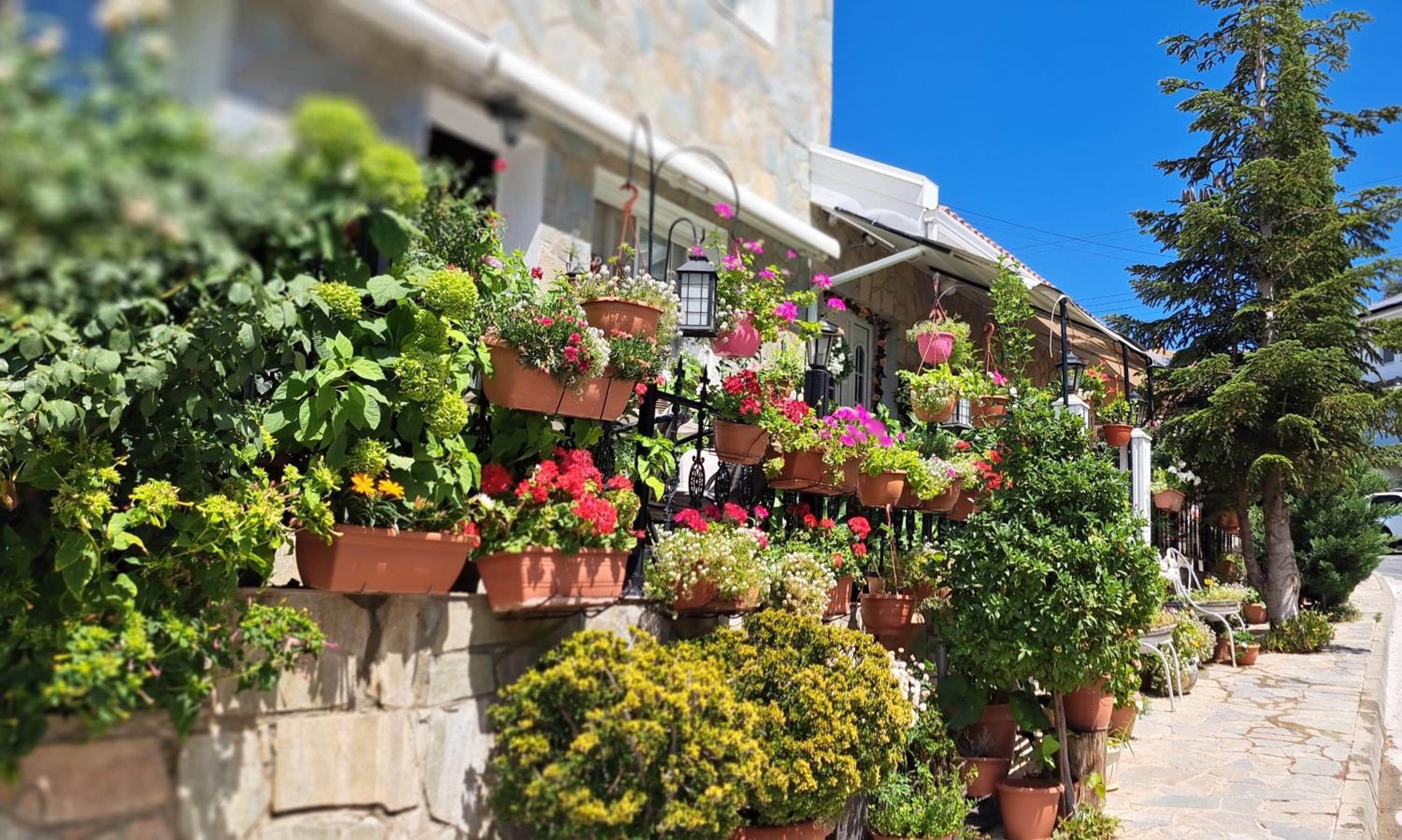 Kyperounta Troodos mountain house