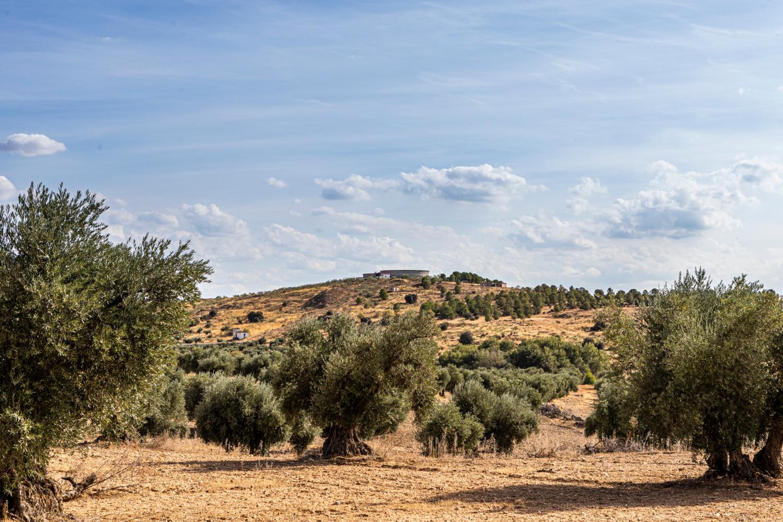 Toledo