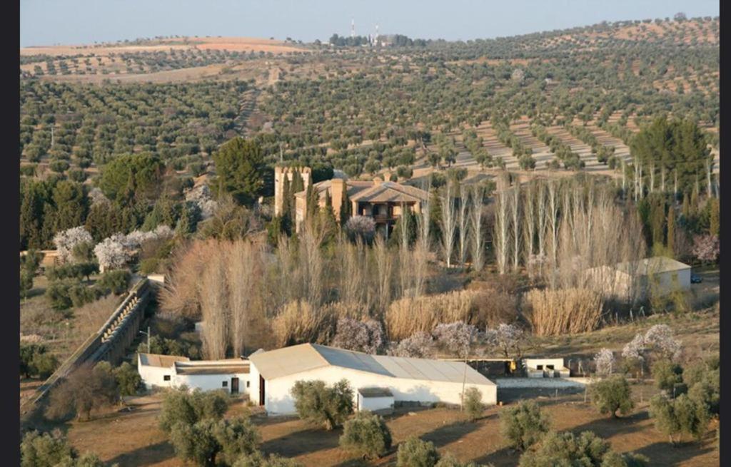 Toledo
