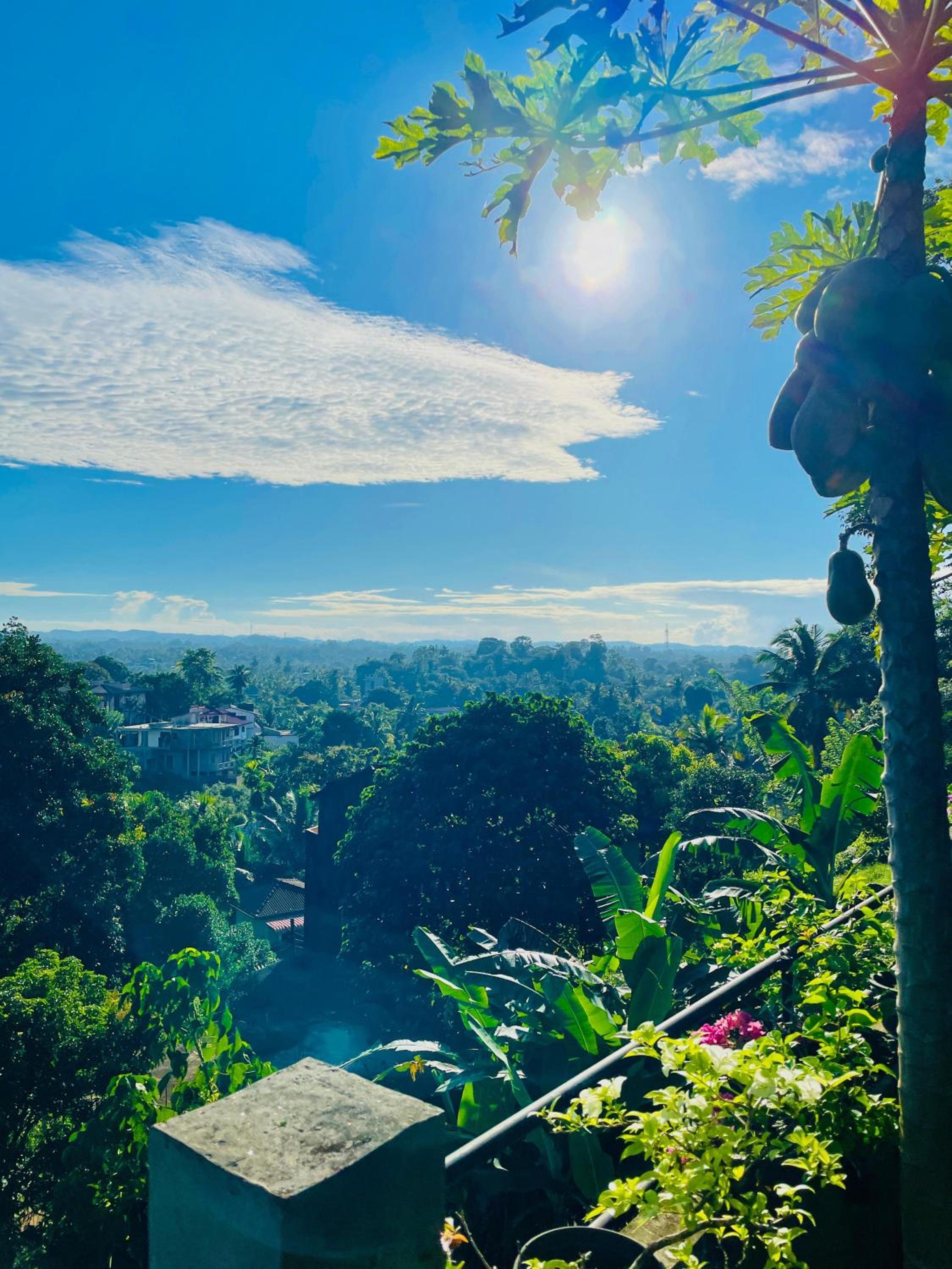Serenity Heights