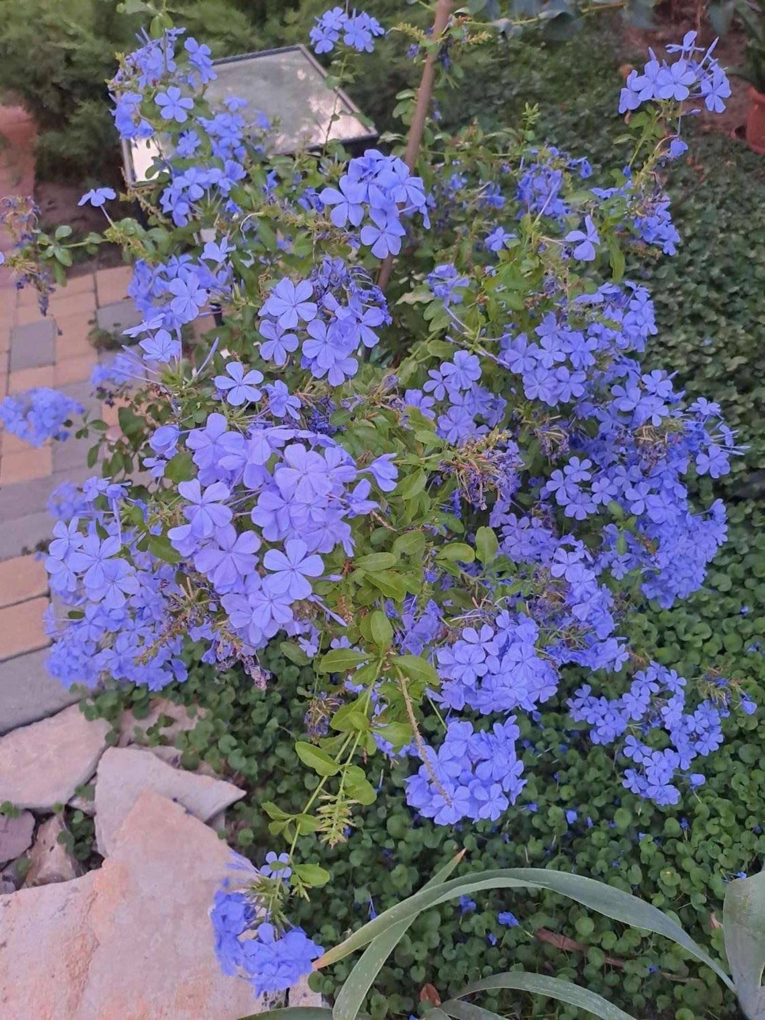 Photo 19
