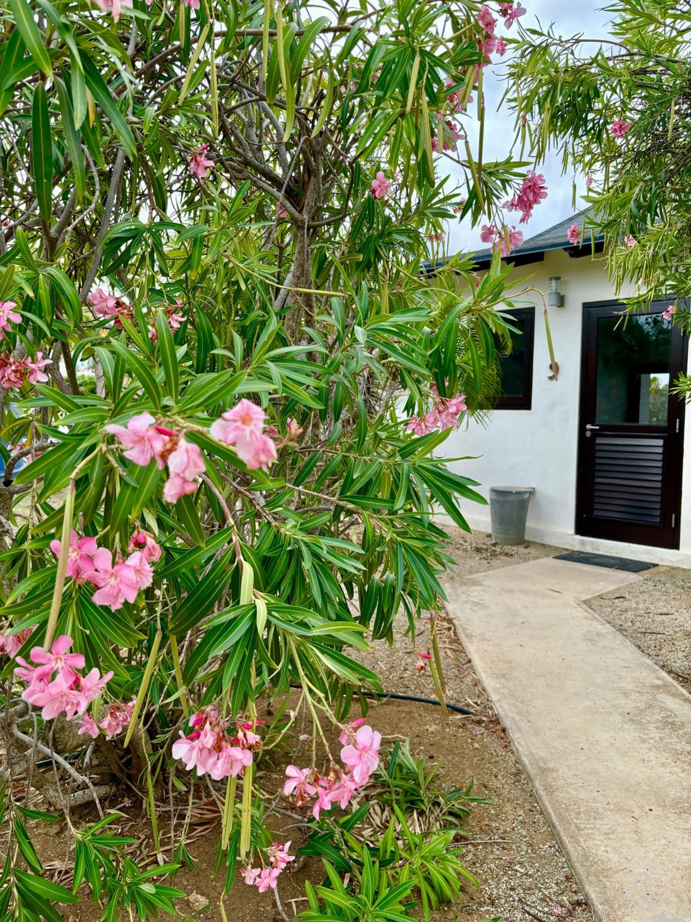 Waterlands Village Bonaire - Oceanview Villa 9