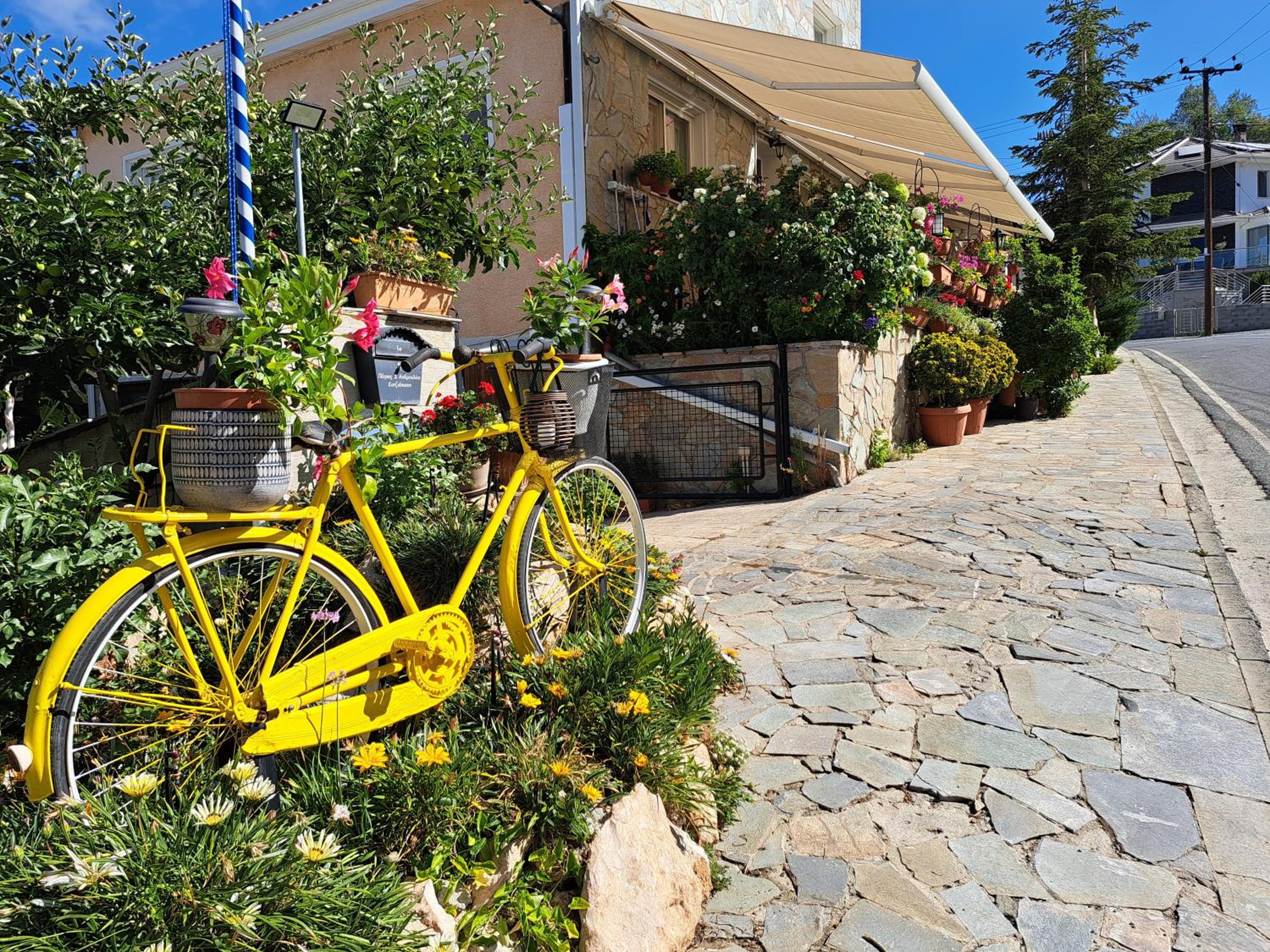 Kyperounta Troodos mountain house