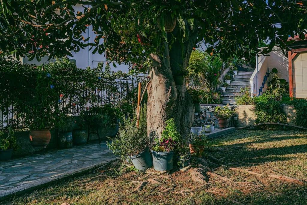 Villa Avocado