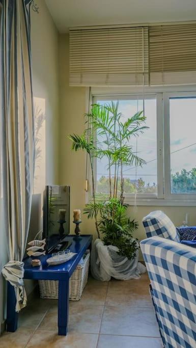 Villa Avocado