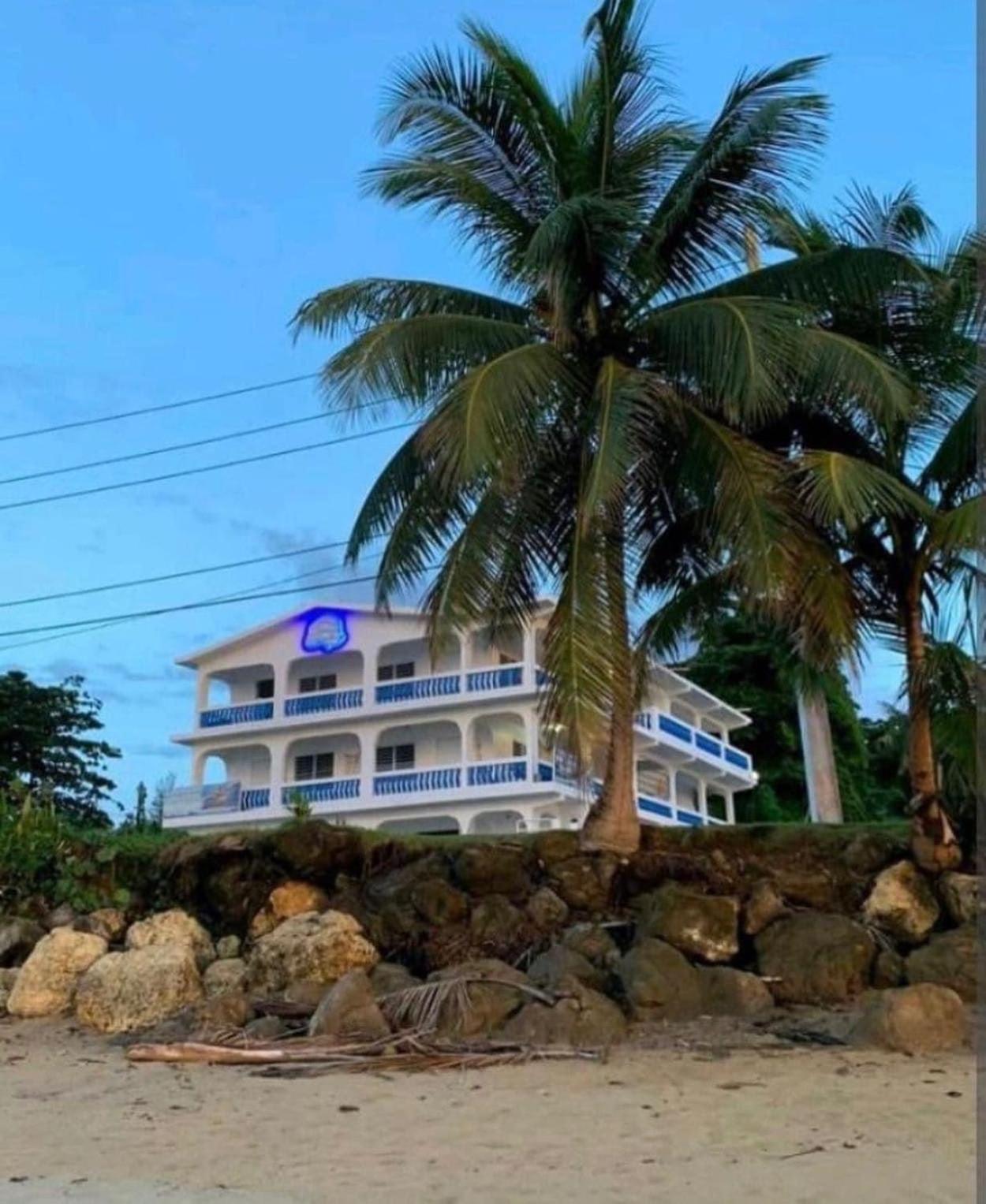 Octopus Oasis view 3