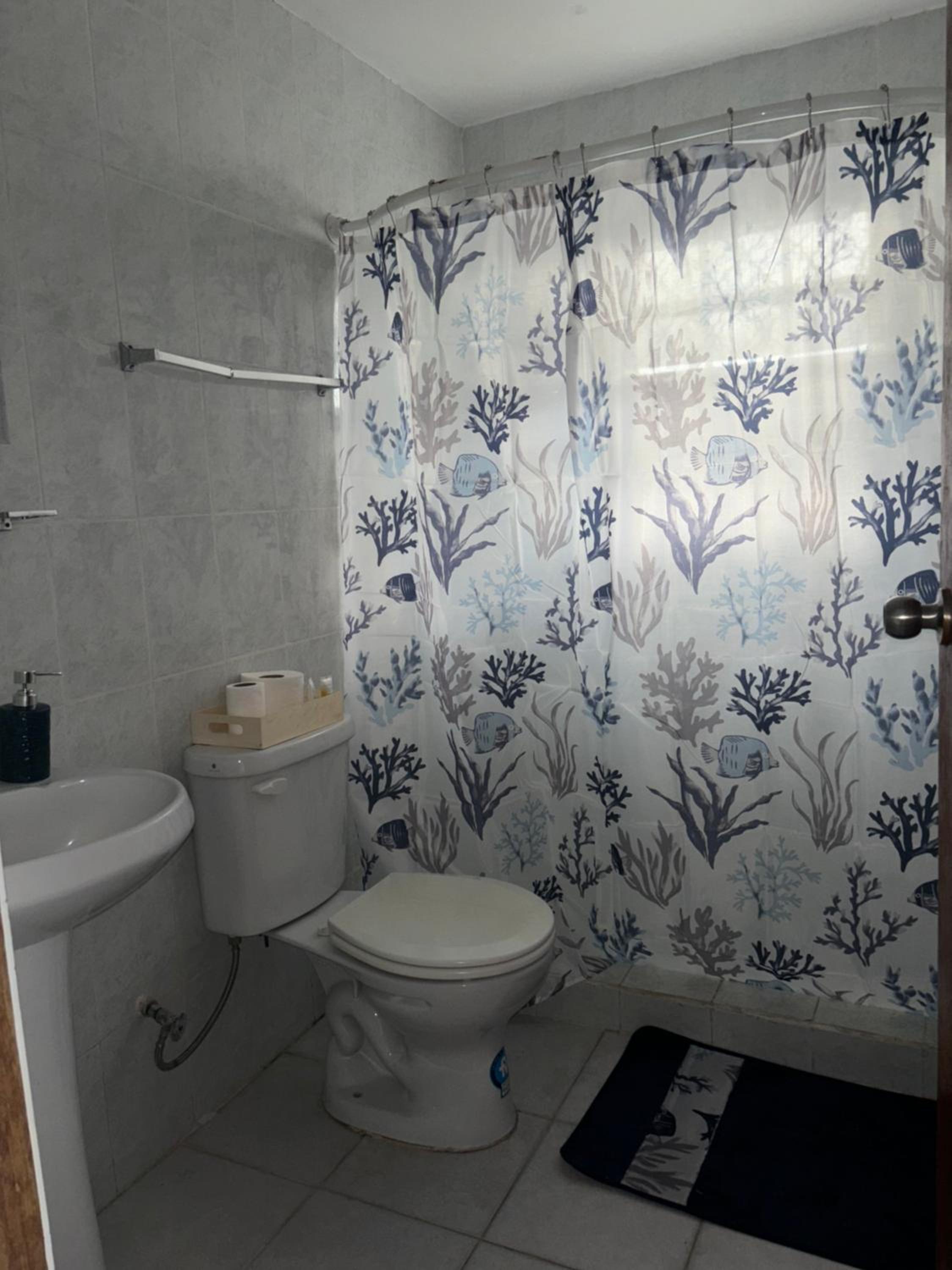 Octopus Oasis view 4