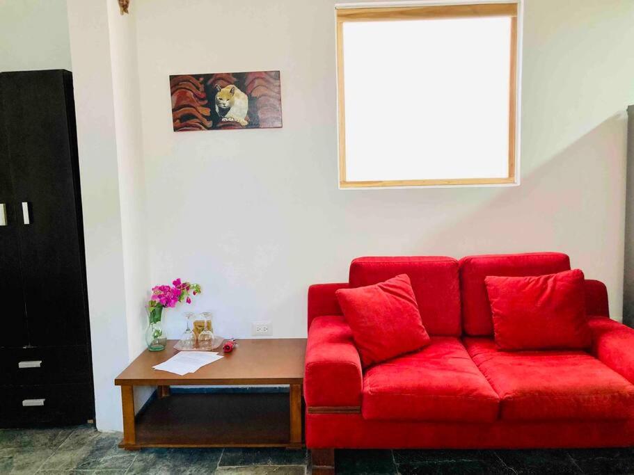 Donkey Den Guesthouse