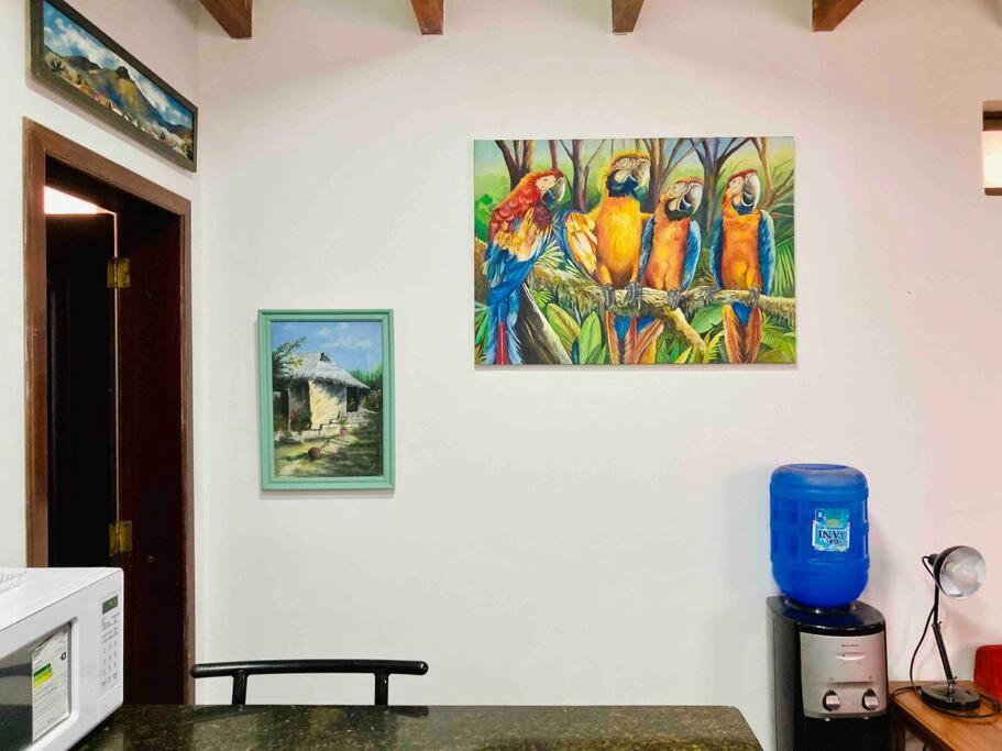 Donkey Den Guesthouse