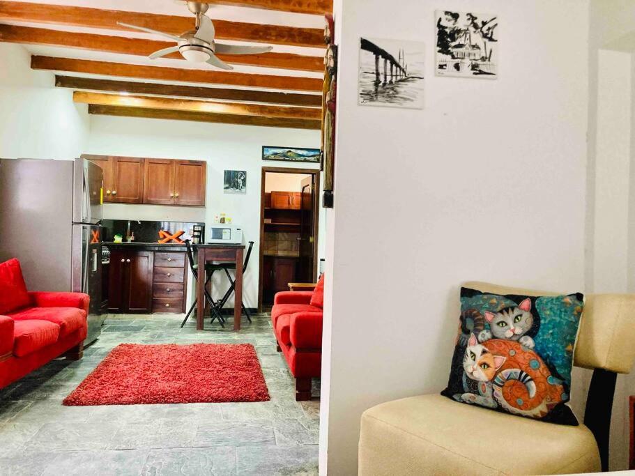 Donkey Den Guesthouse