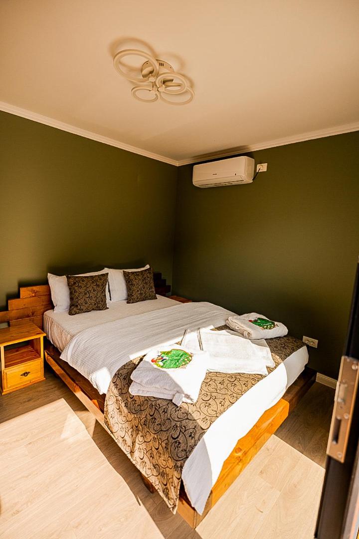 Wooden Chalet Retezat