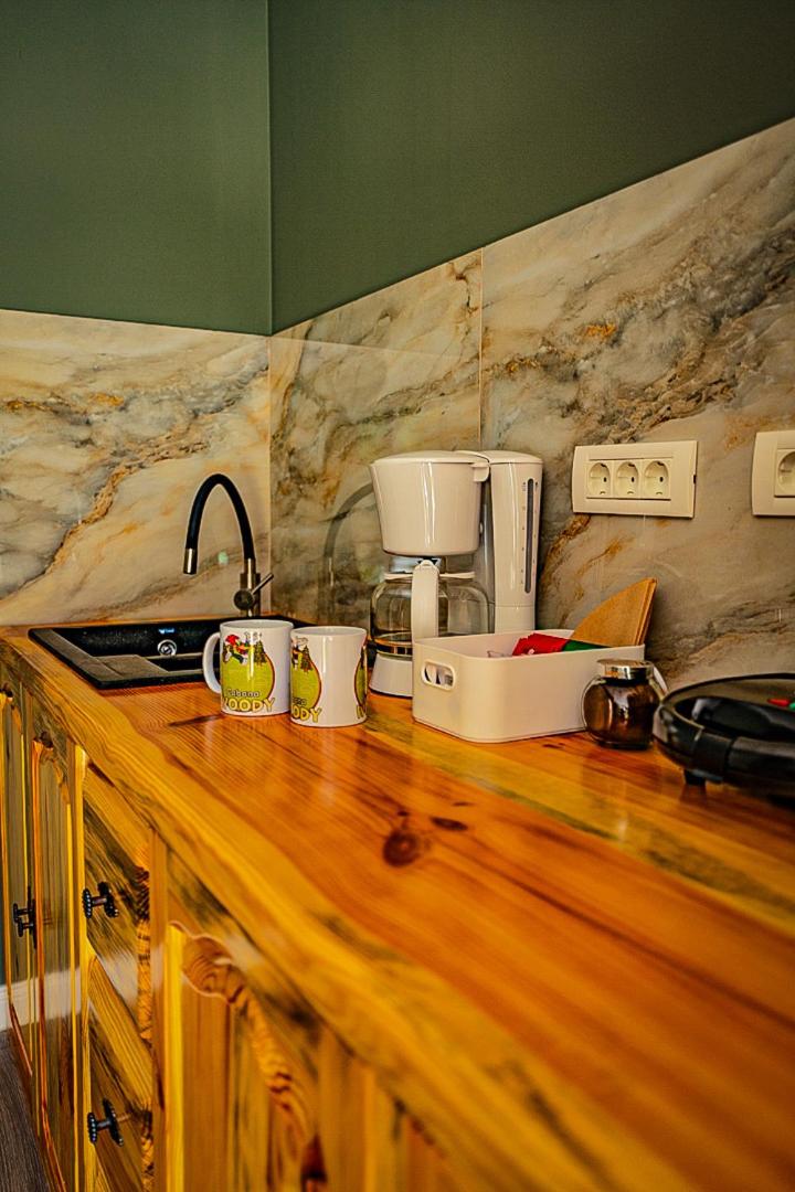 Wooden Chalet Retezat