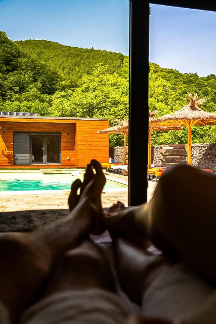 Wooden Chalet Retezat
