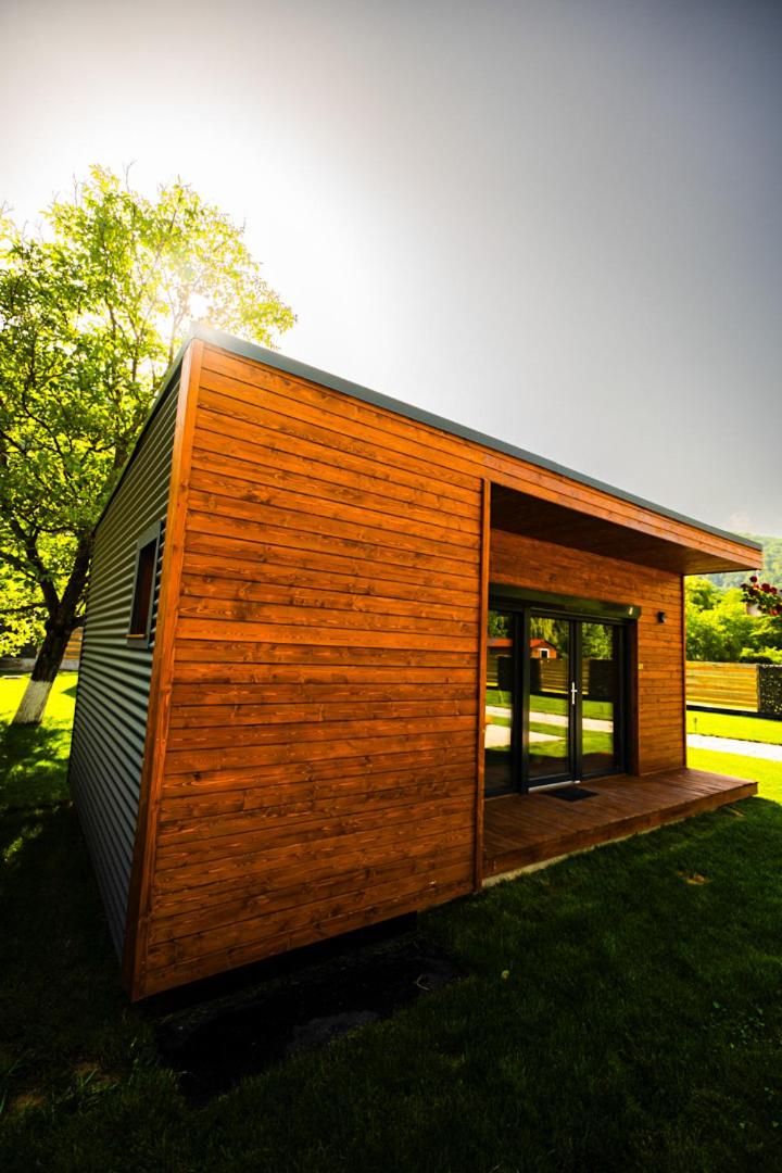 Wooden Chalet Retezat