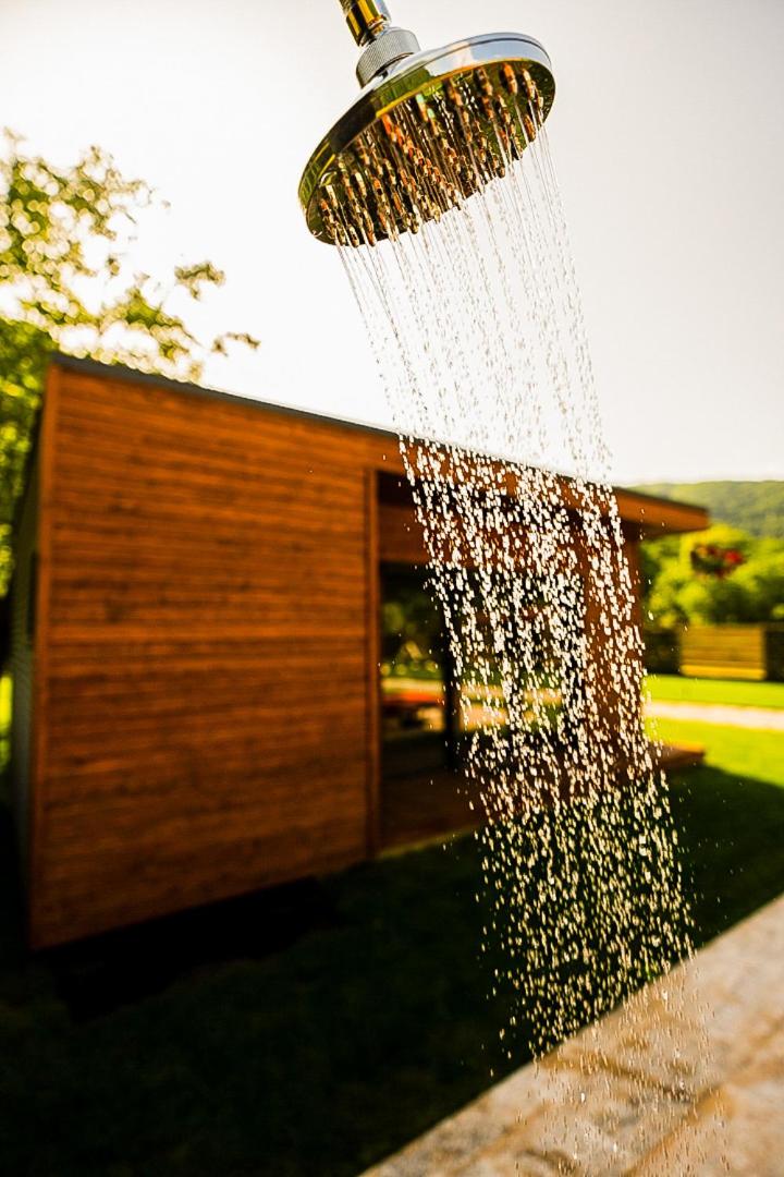 Wooden Chalet Retezat