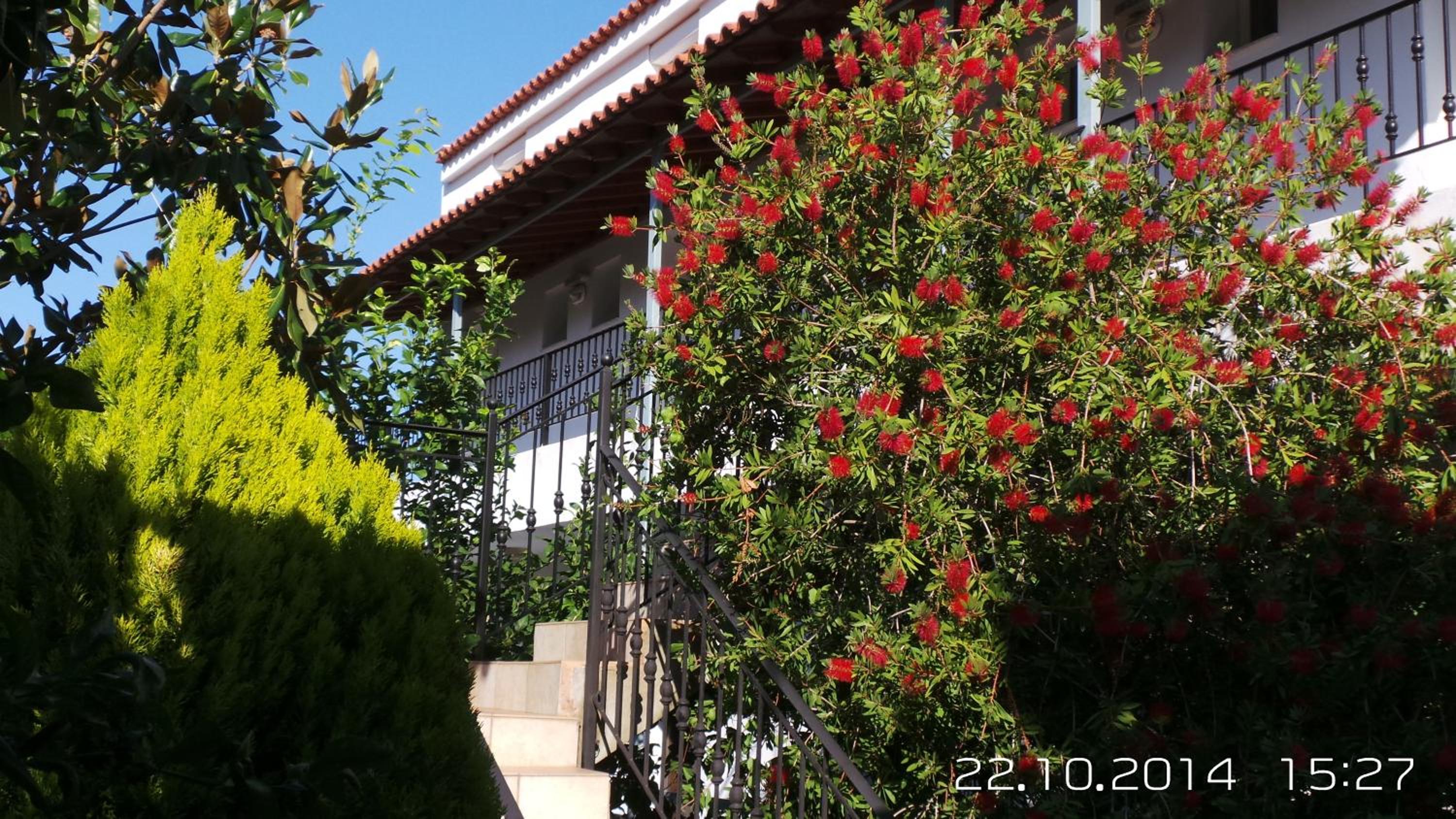 Photo 16