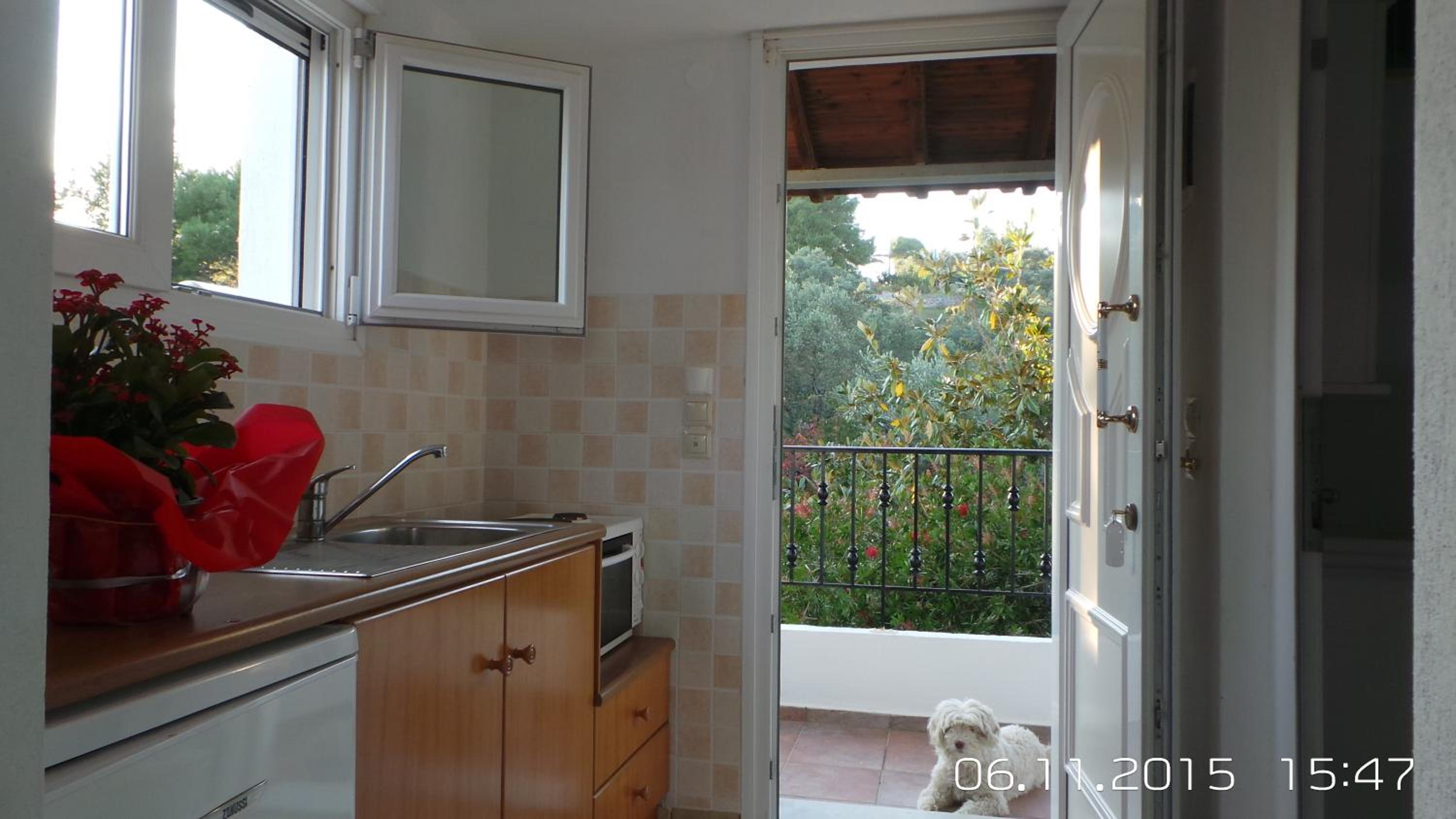 Photo 17