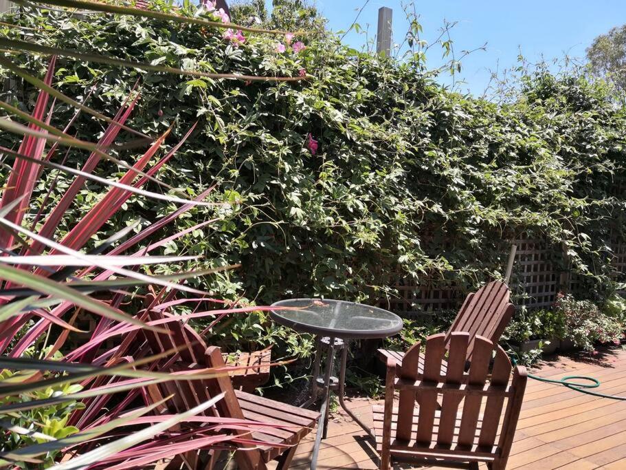 New granny flat in Narwee