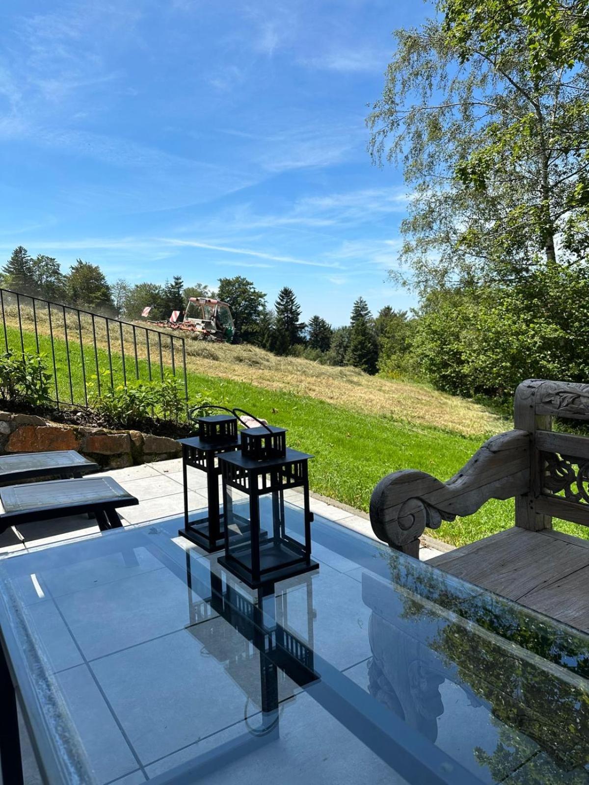 Pfändertraum Luxus Ferienhaus, photo 11