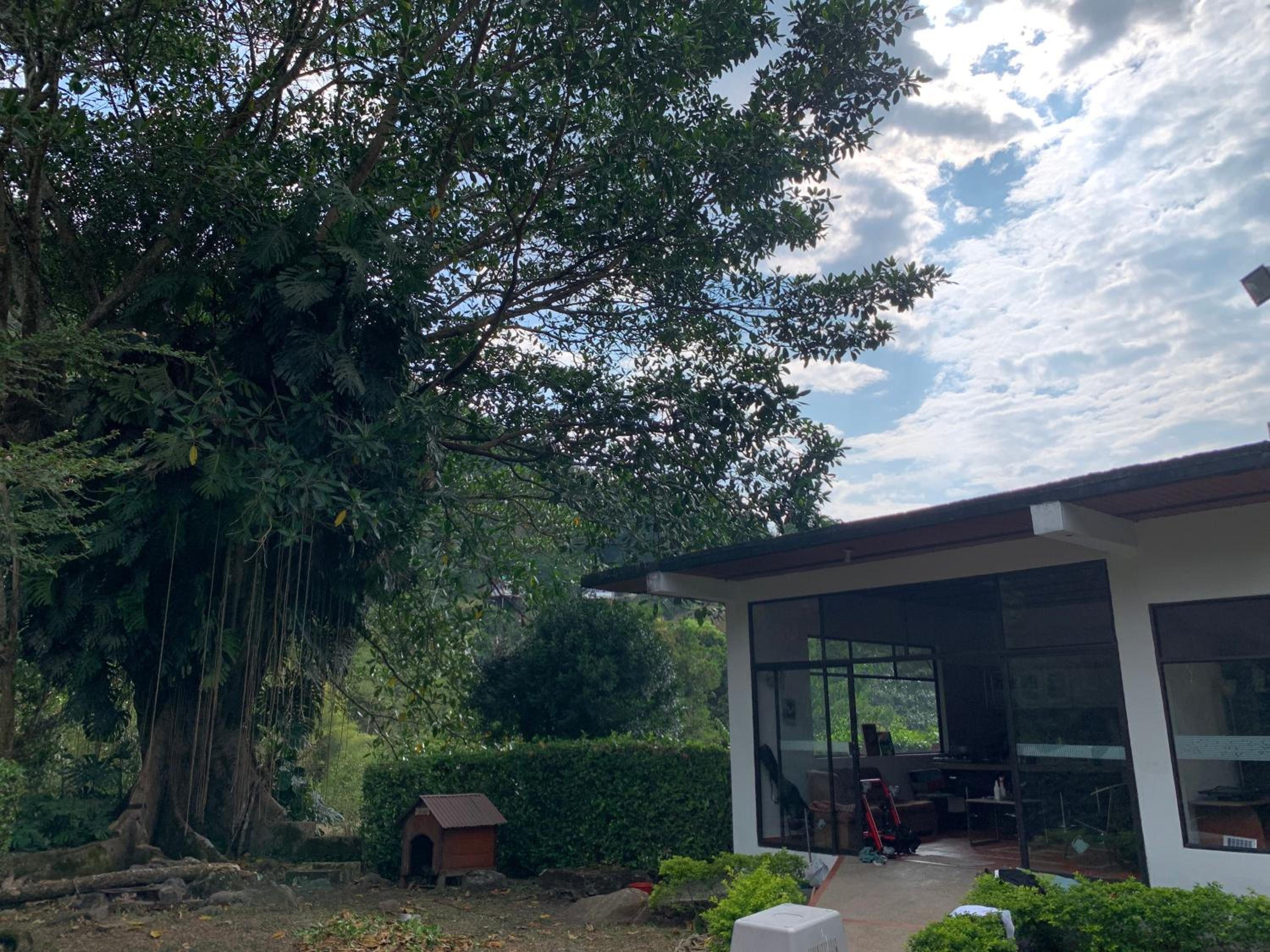 Finca Calandaima casa-cabaña independiente un lugar mágico