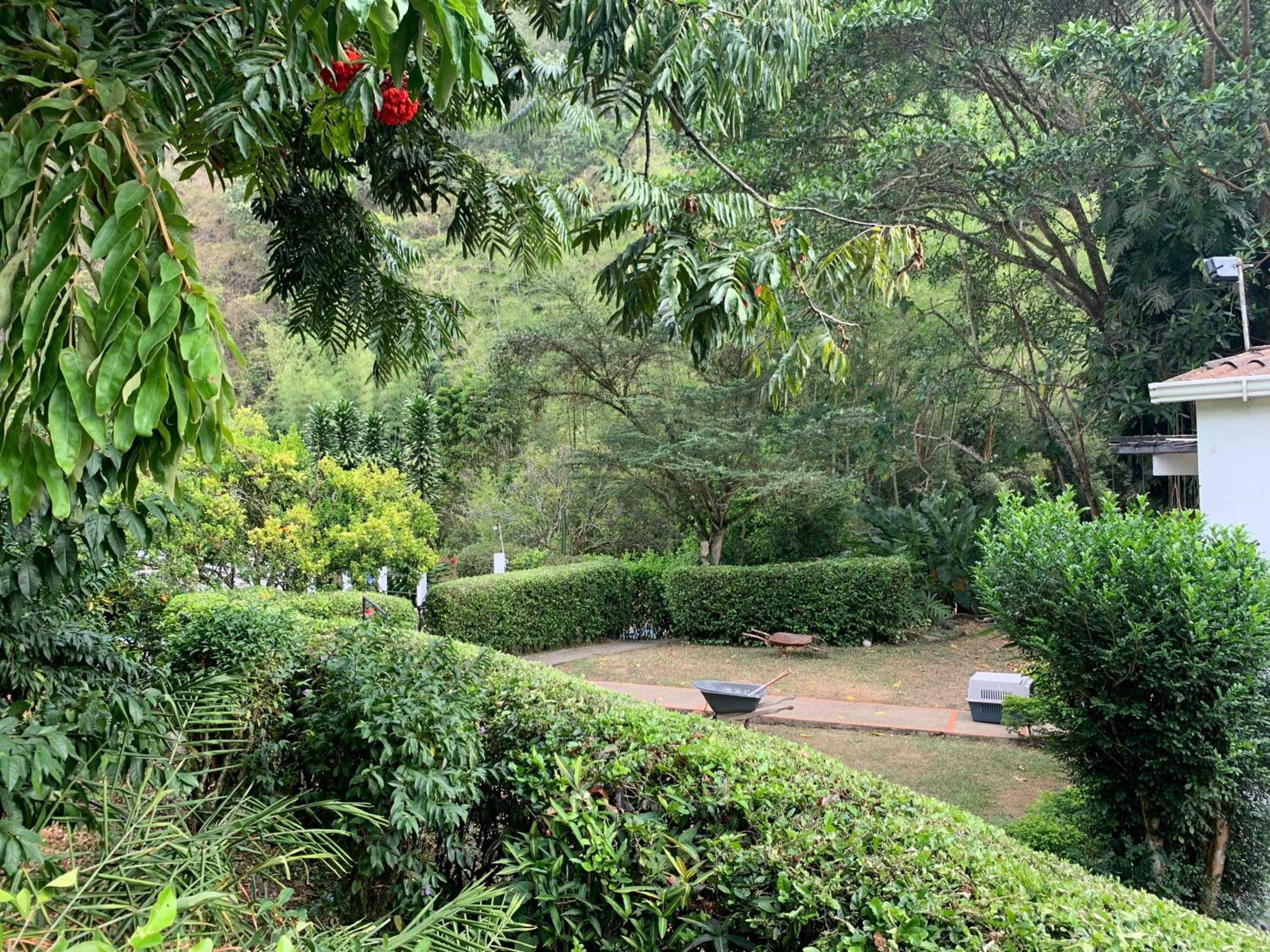 Finca Calandaima casa-cabaña independiente un lugar mágico