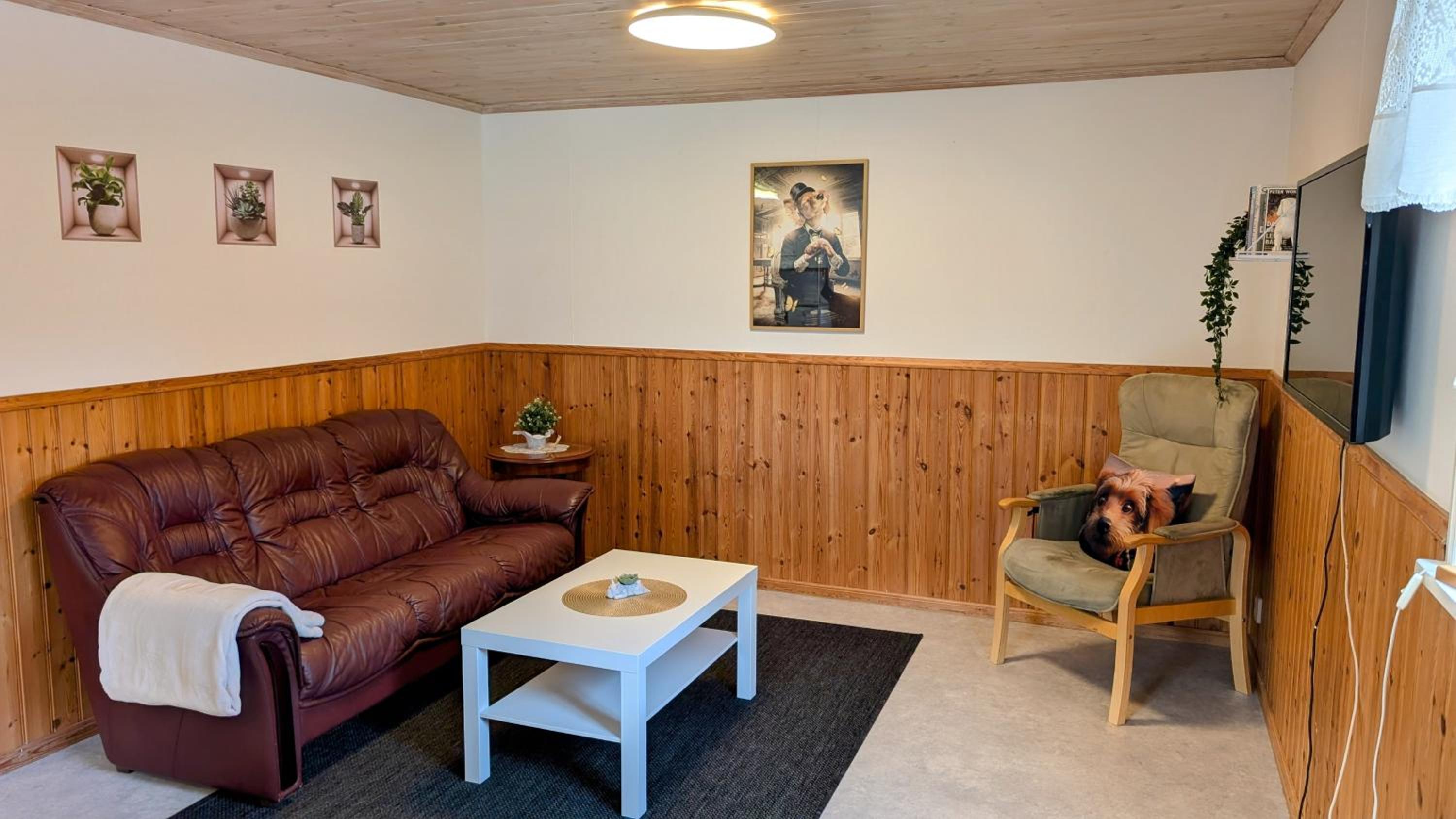 Photo 18