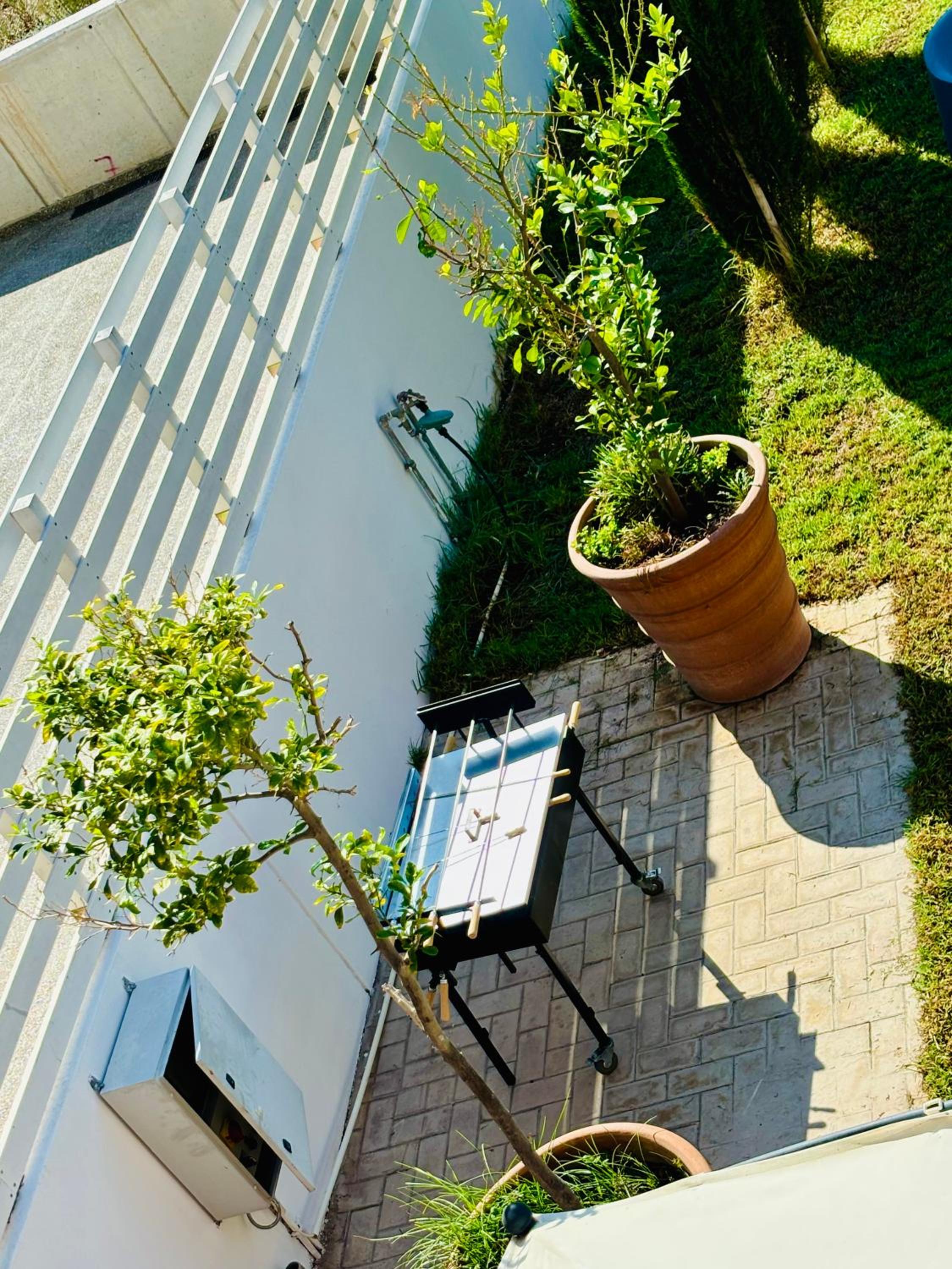 The Blue House