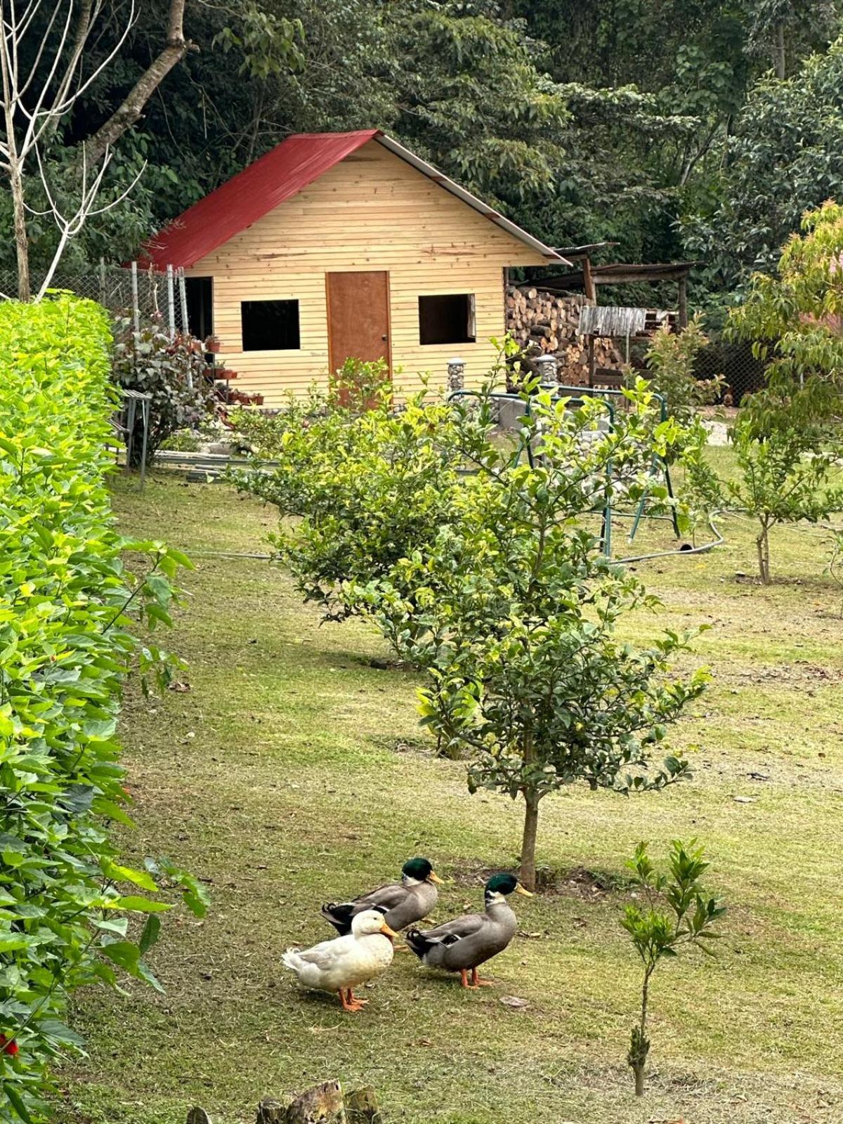 HASSINGER RANCH Cabañas view 2