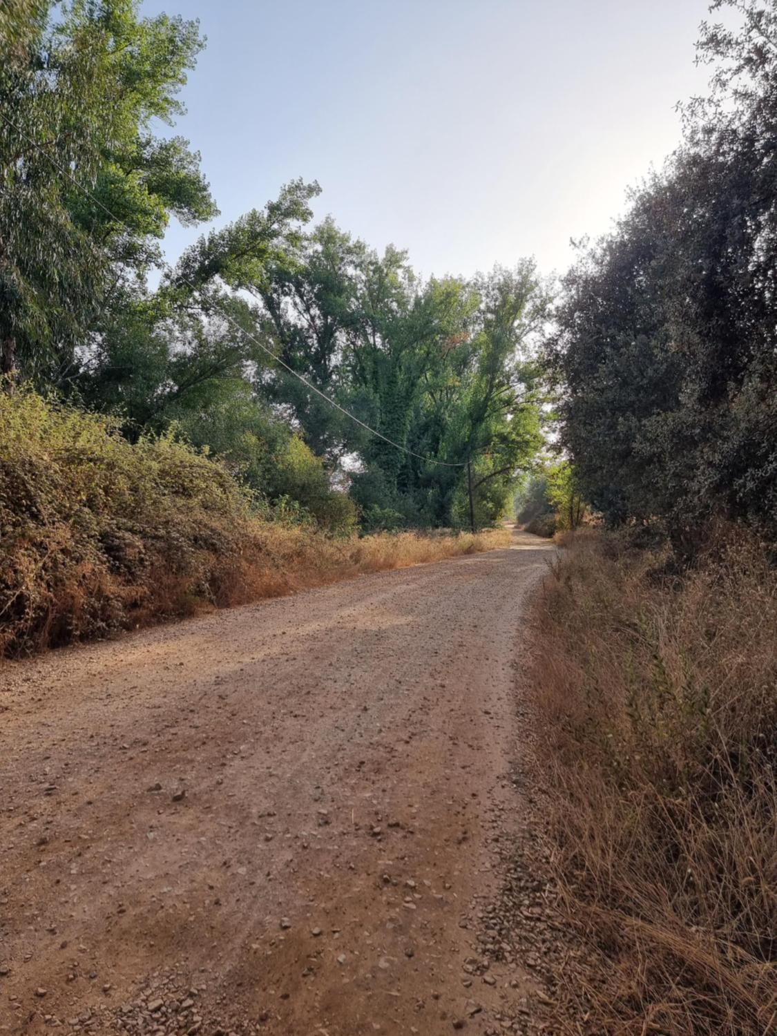 Corteganillas