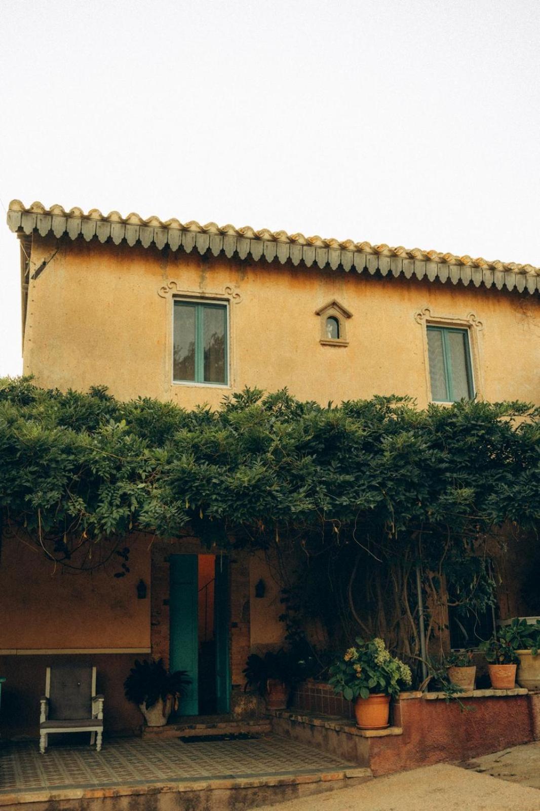Corte Boero Bed&Breakfast view 5