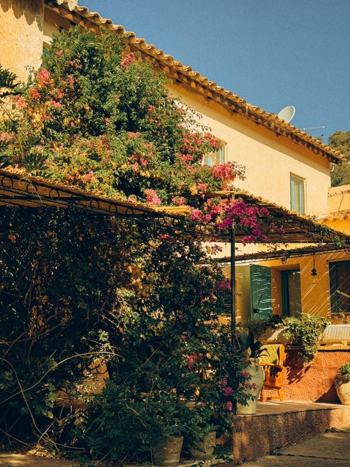 Corte Boero Bed&Breakfast view 4