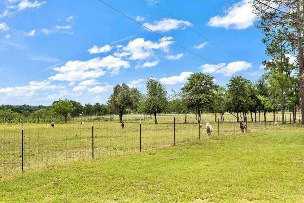Guest, Vineyard, Longhorn & Ranch House at The Sanctuary