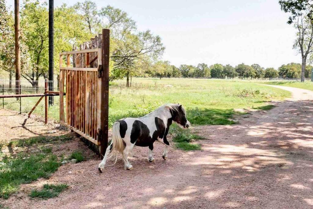 Guest, Vineyard, Longhorn & Ranch House at The Sanctuary