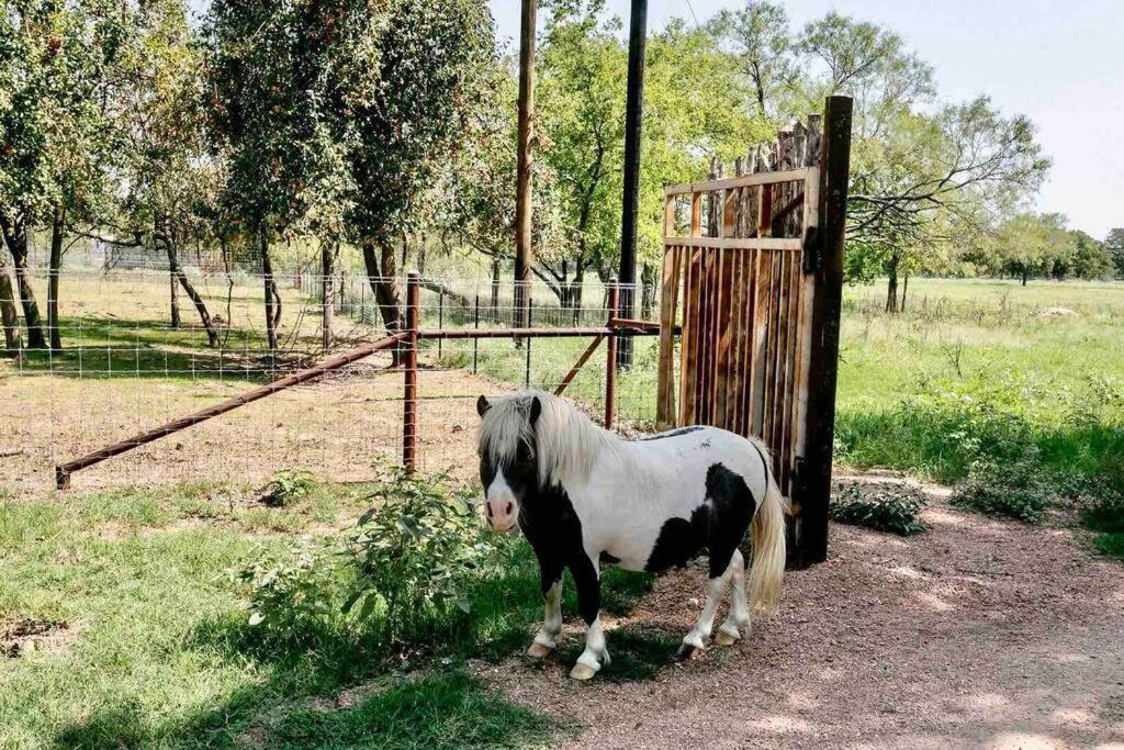 Guest, Vineyard, Longhorn & Ranch House at The Sanctuary