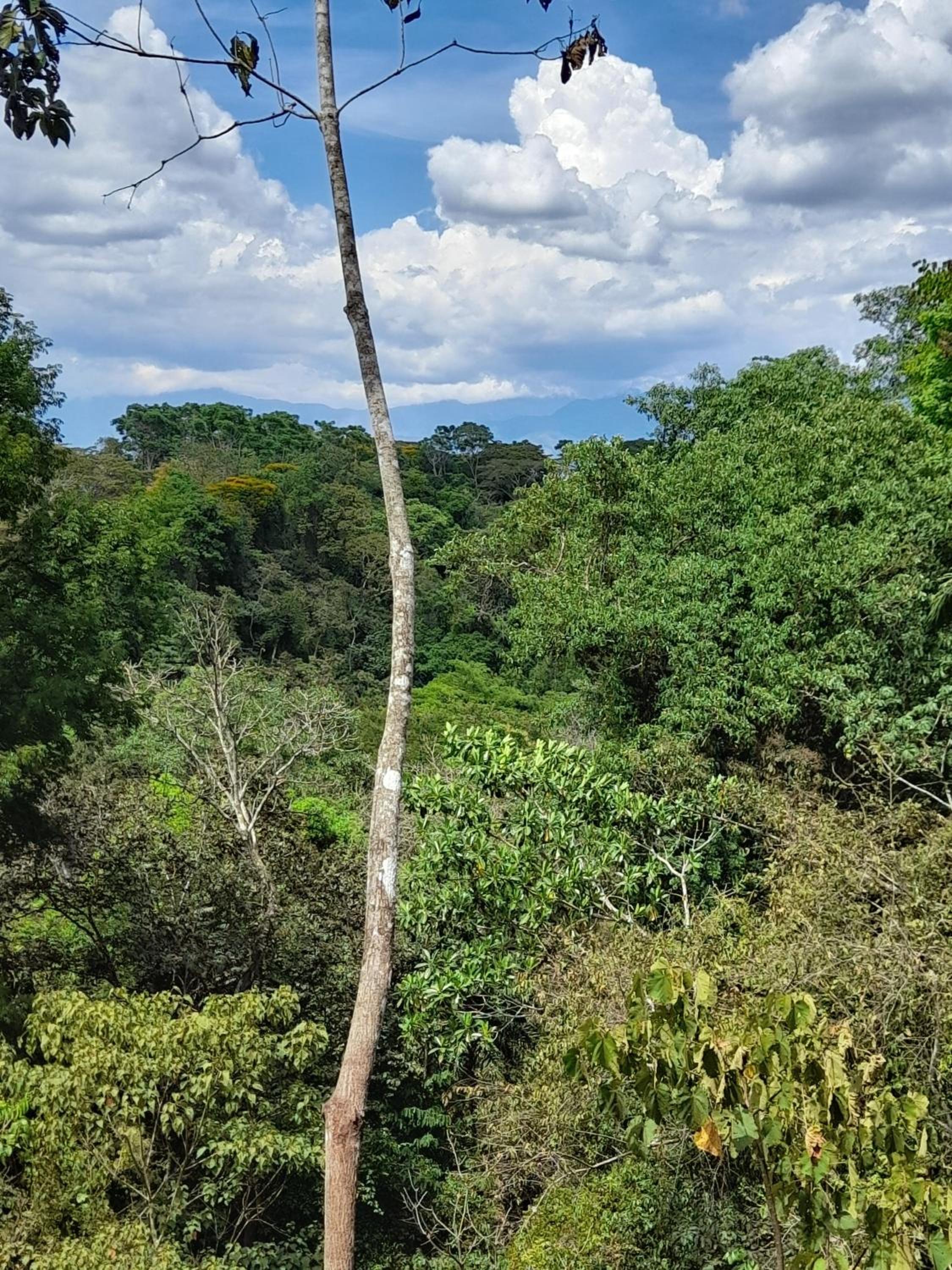Centro Cultural y Escuela de Artes Broran-Térraba y El Descanso