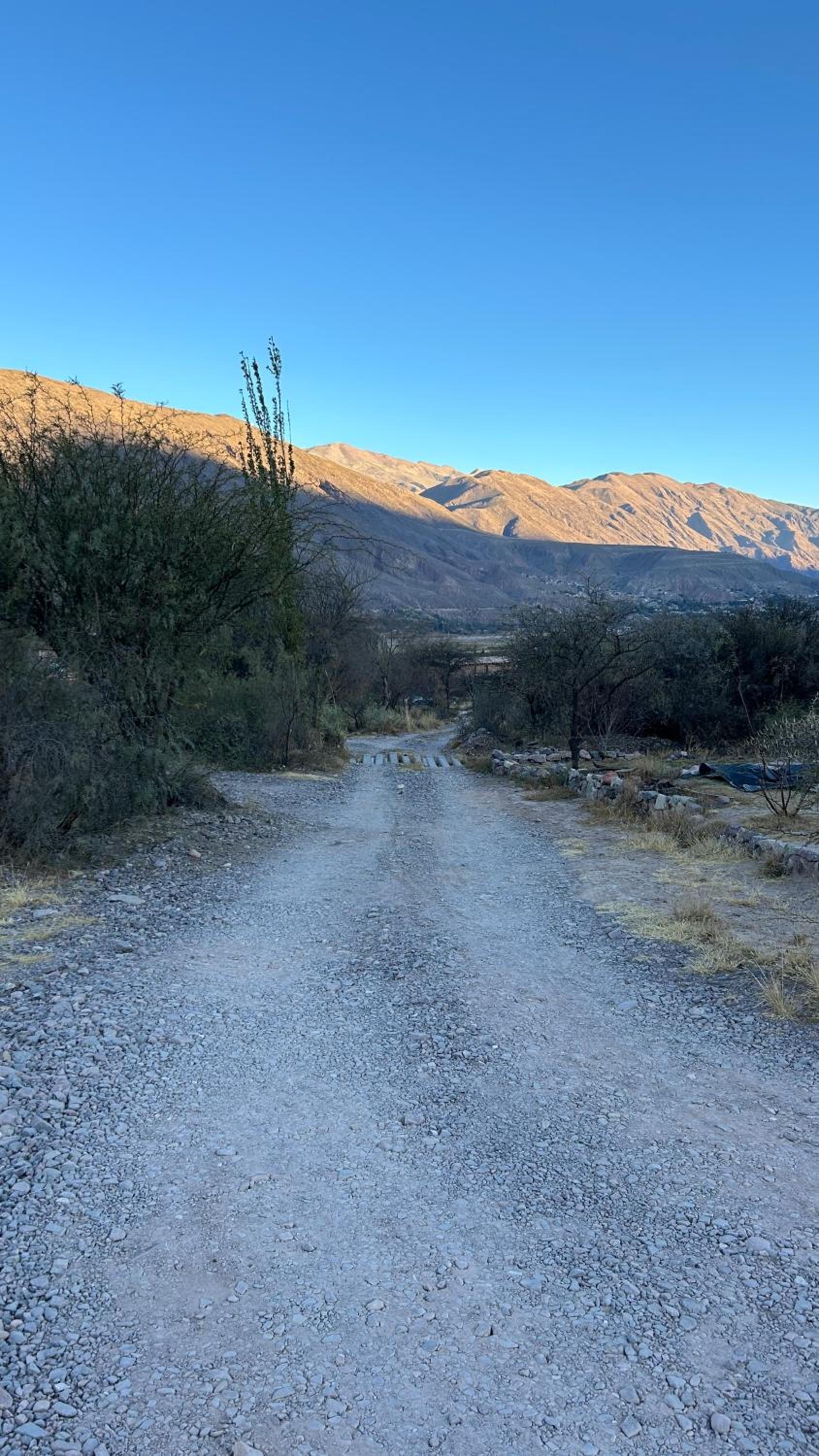 Cabañas del SOCOCHA X 6