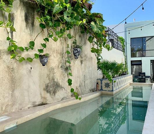 Casa Nicolee view 5