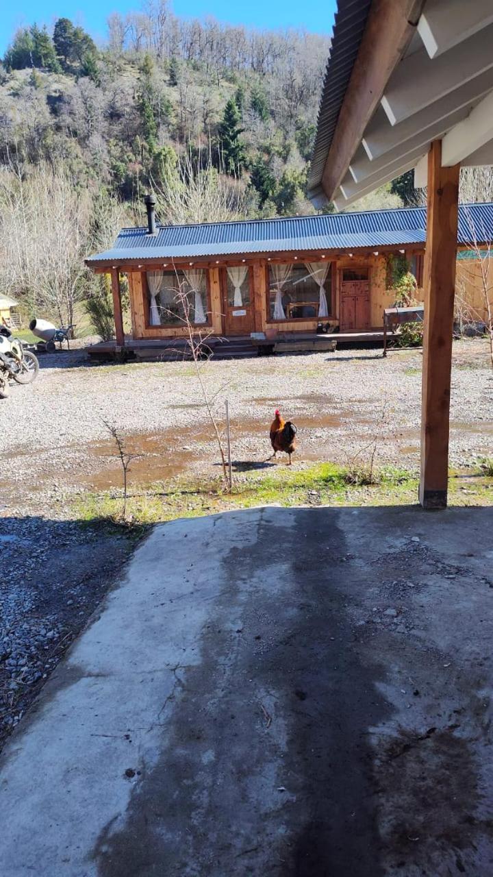 Casas de Campo SMA