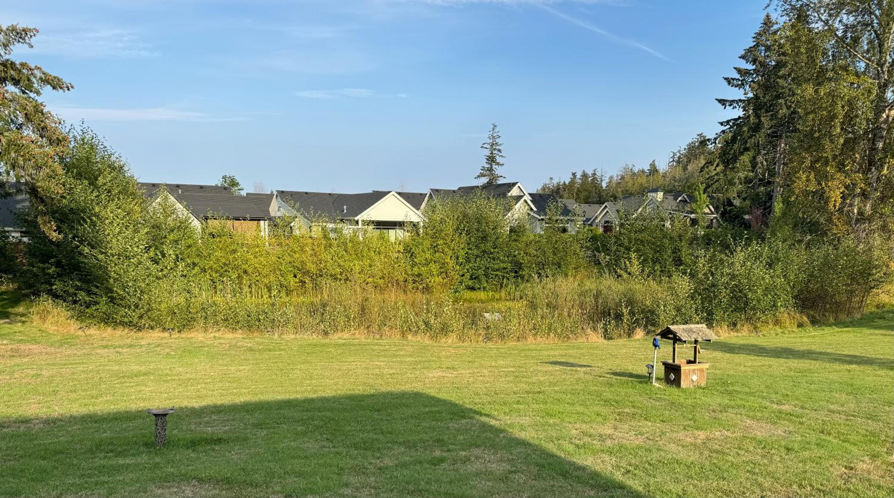 Pond view at Claymore