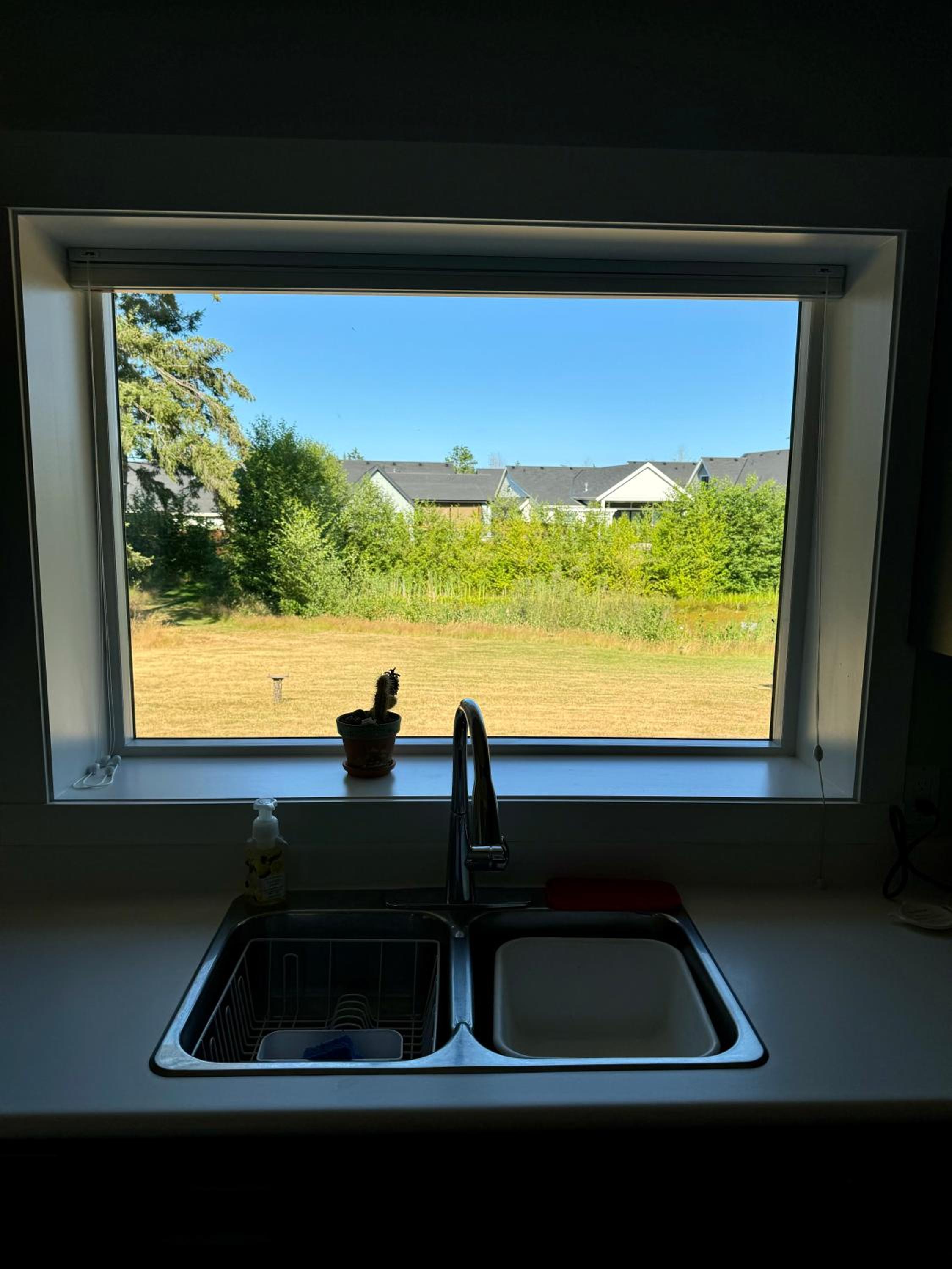 Pond view at Claymore