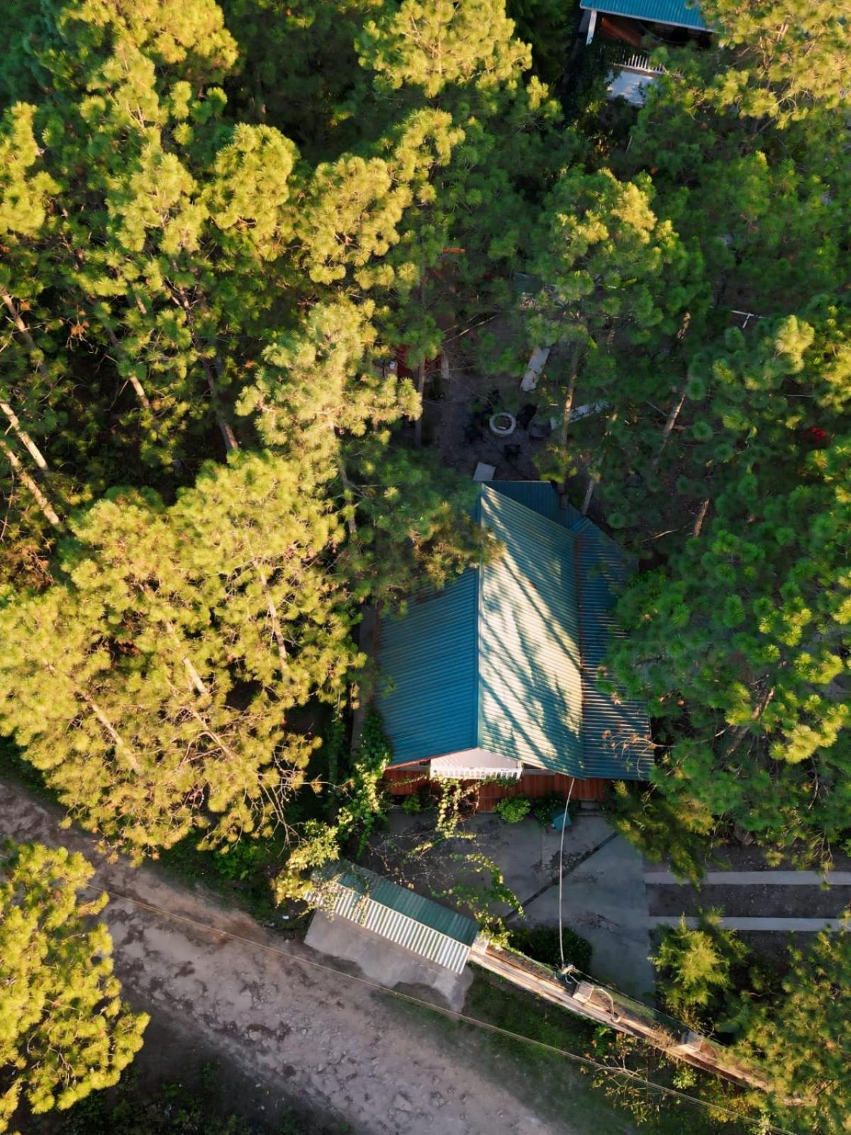Cabaña monte de los olivos