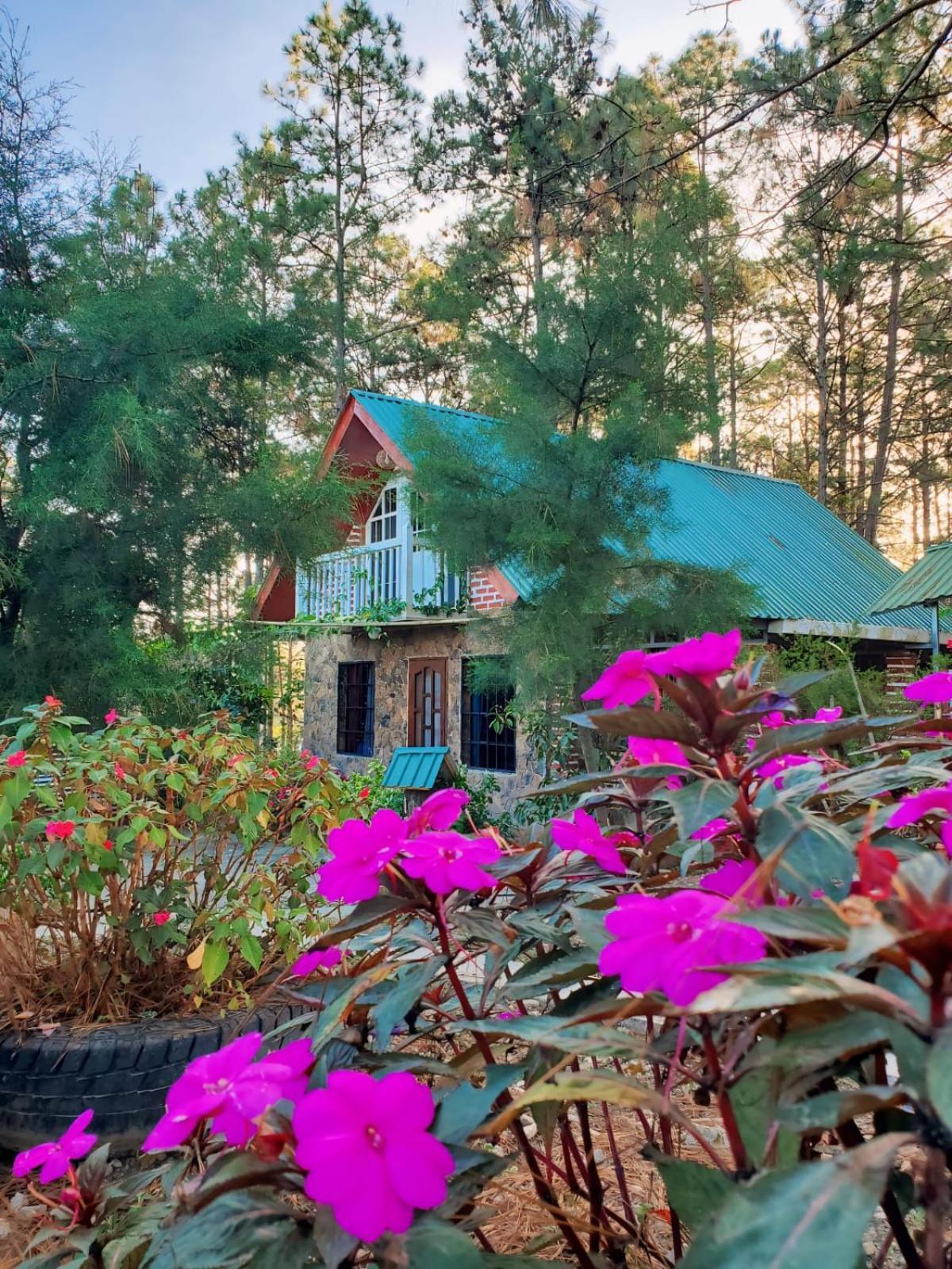 Cabaña monte de los olivos