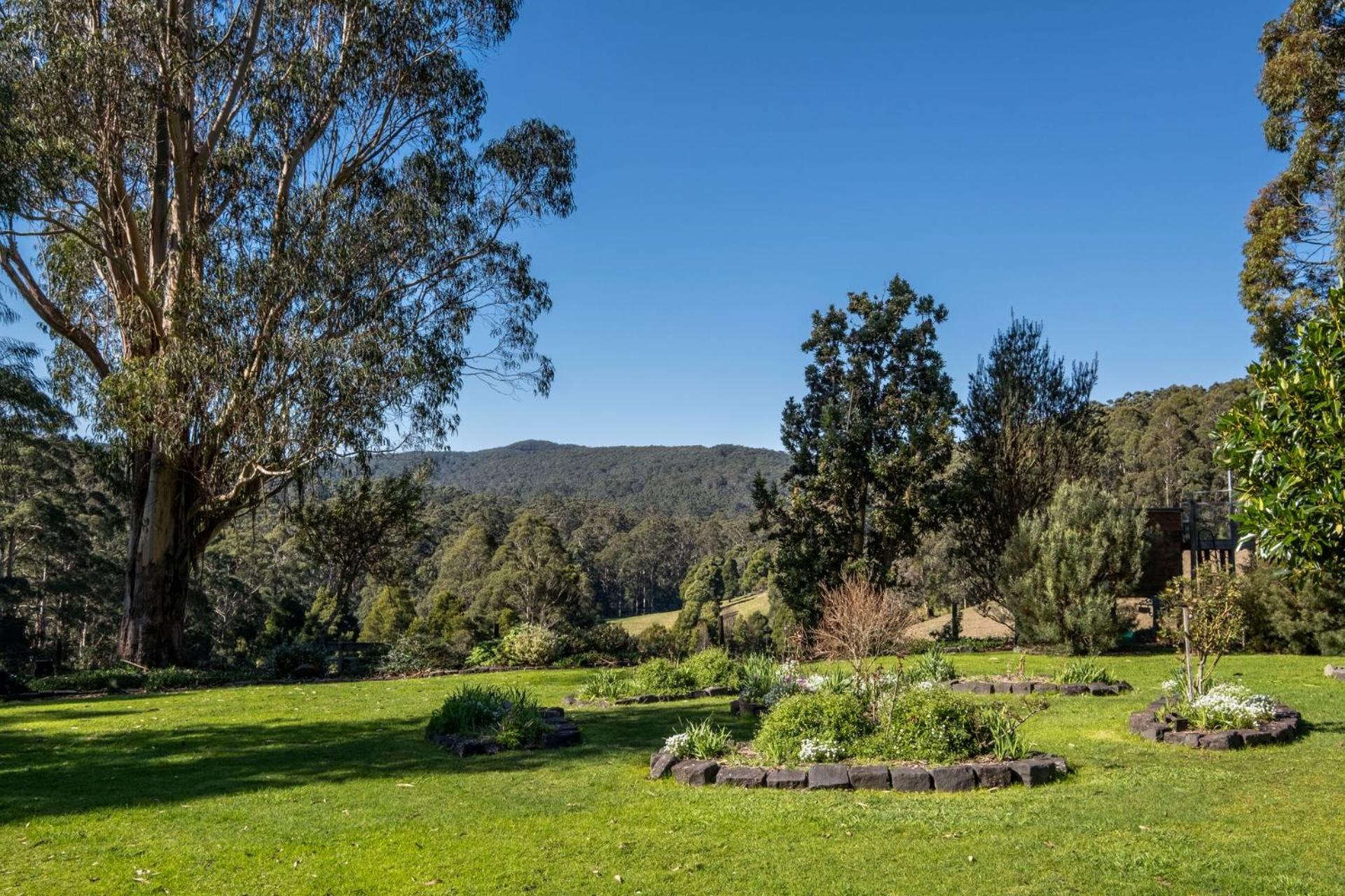 Otway Valley Lodge - koalas in the garden, wood fired hot tub