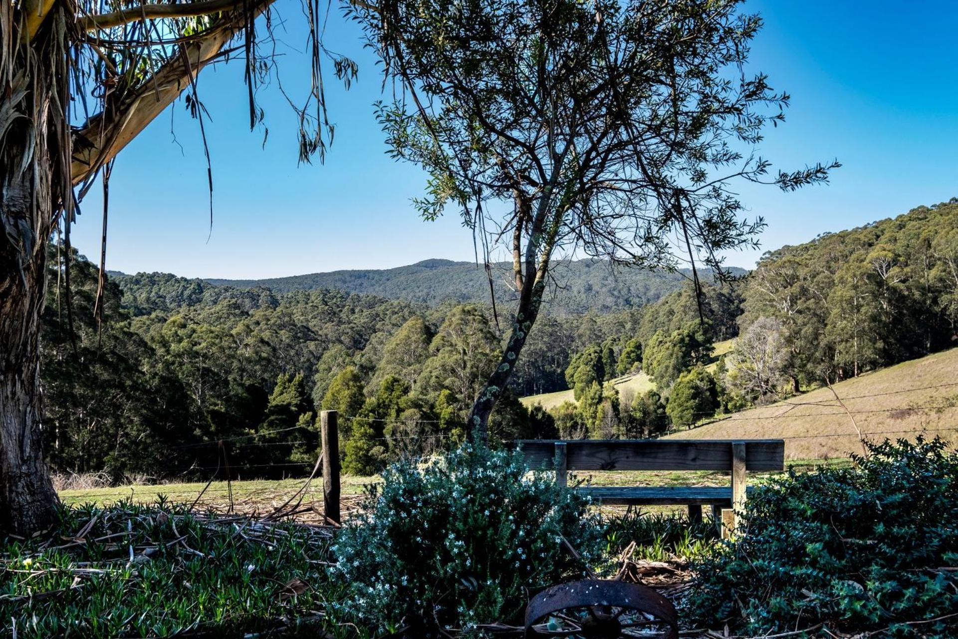 Otway Valley Lodge - koalas in the garden, wood fired hot tub