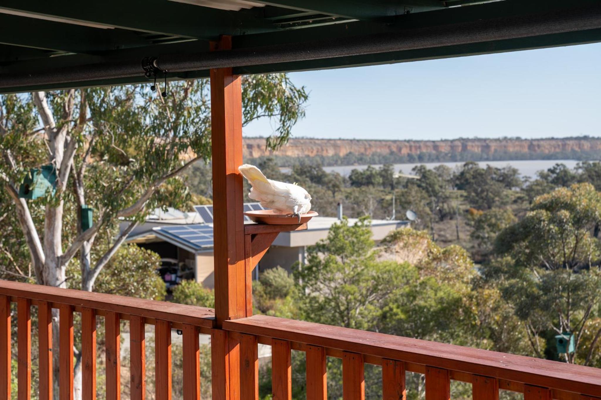 'The Lookout' - Nildottie